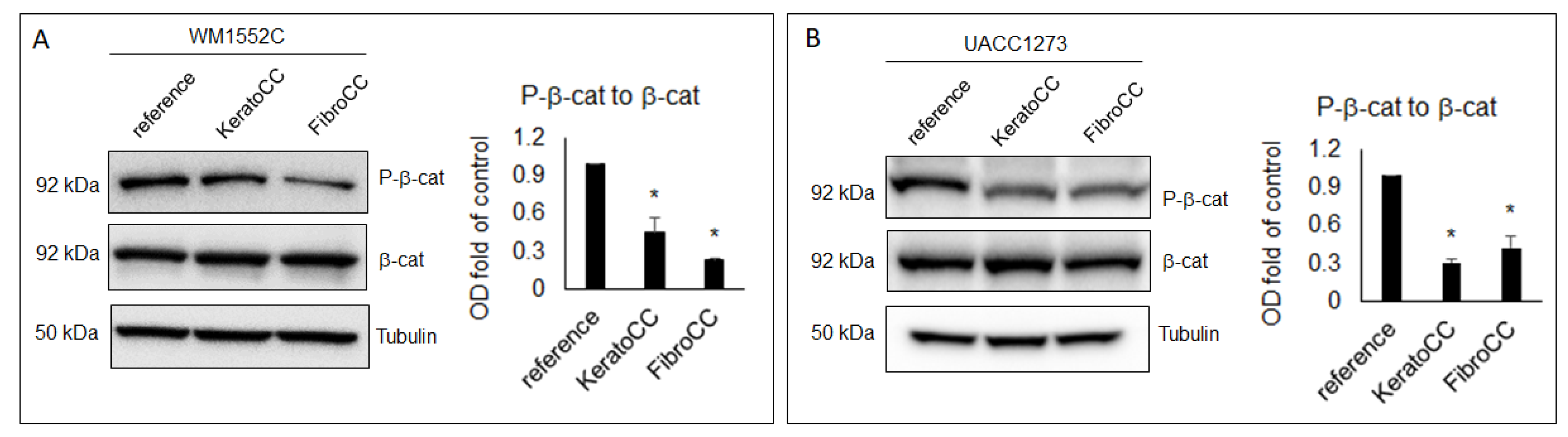 Ijms 22 11719 g004 550