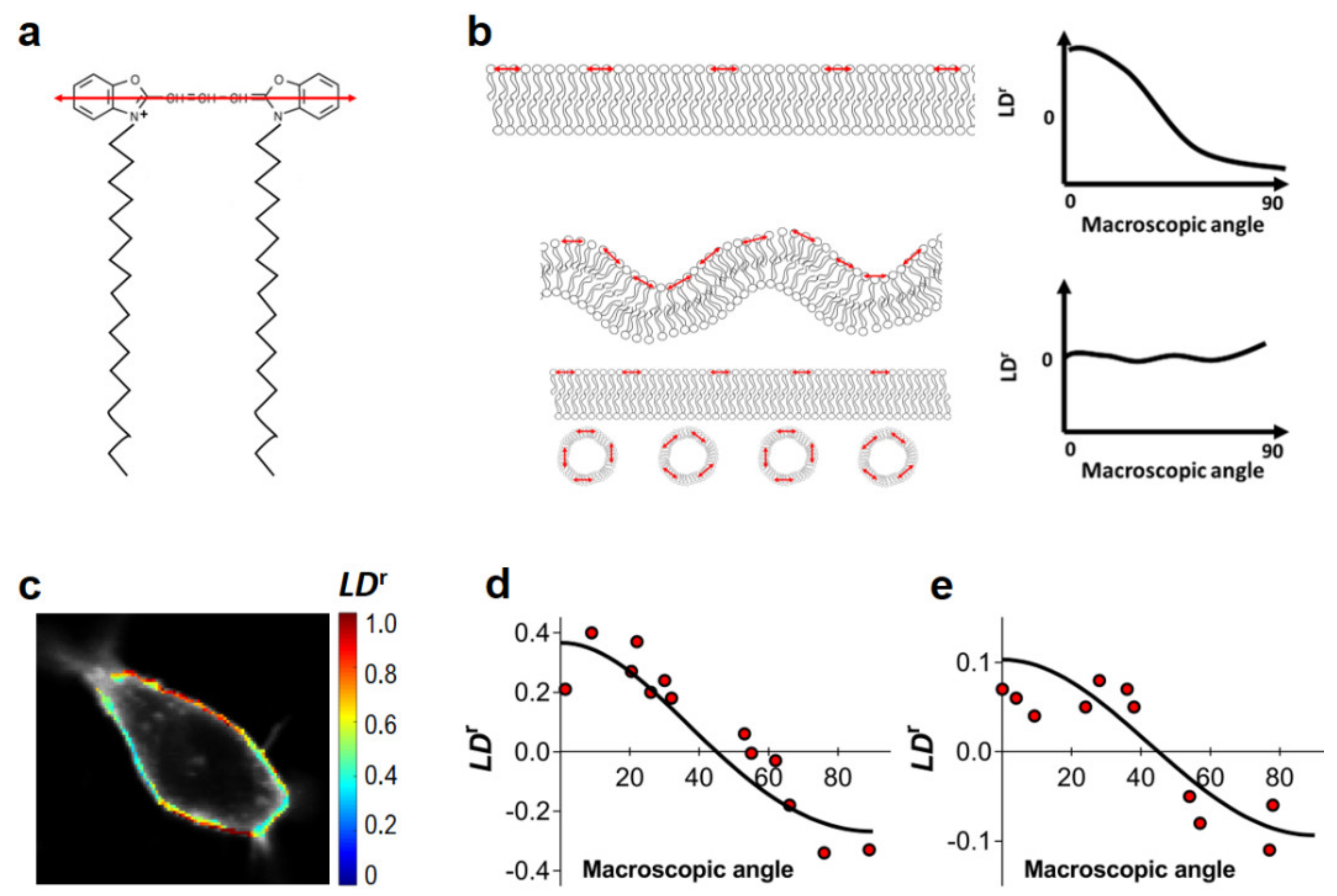 Ijms 22 11727 g001 Ijms 22 11727 g001