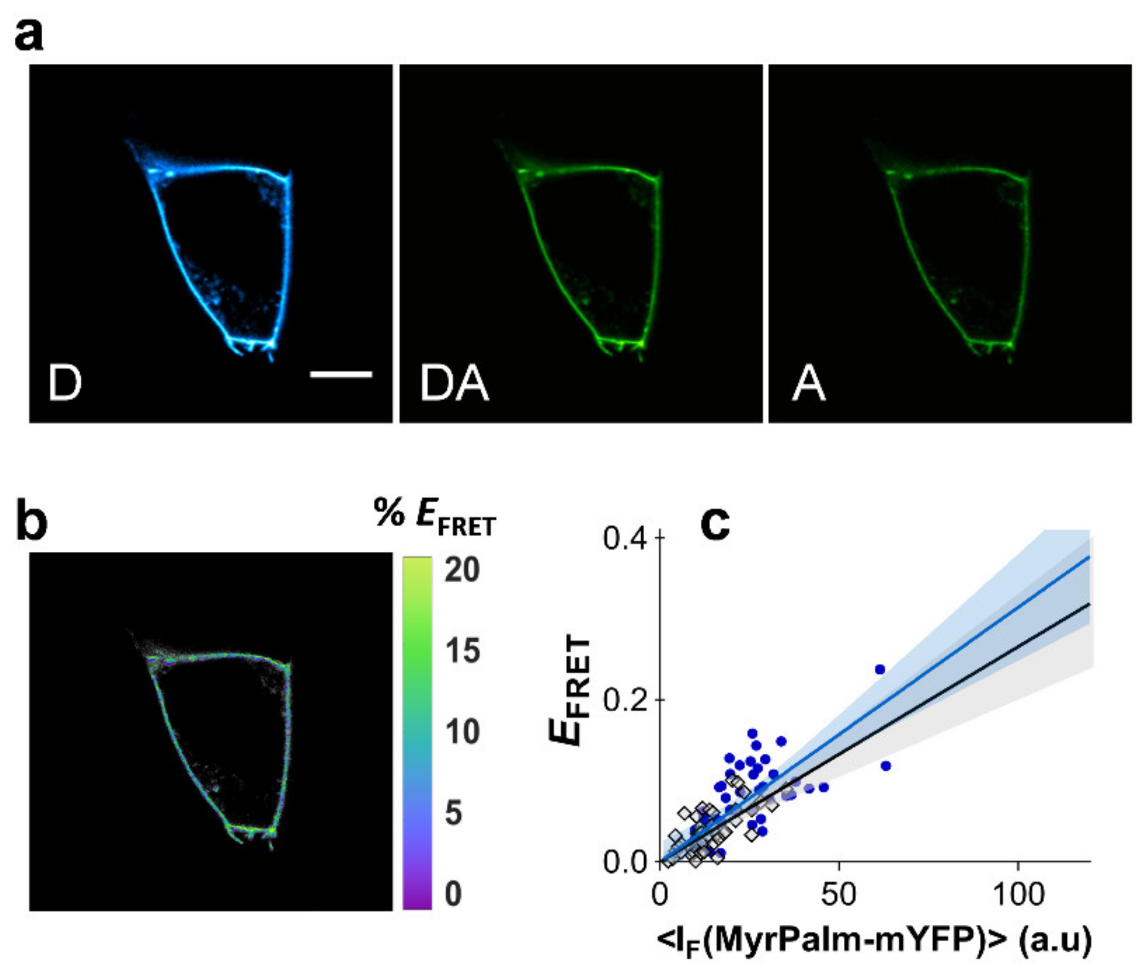 Ijms 22 11727 g002 Ijms 22 11727 g002