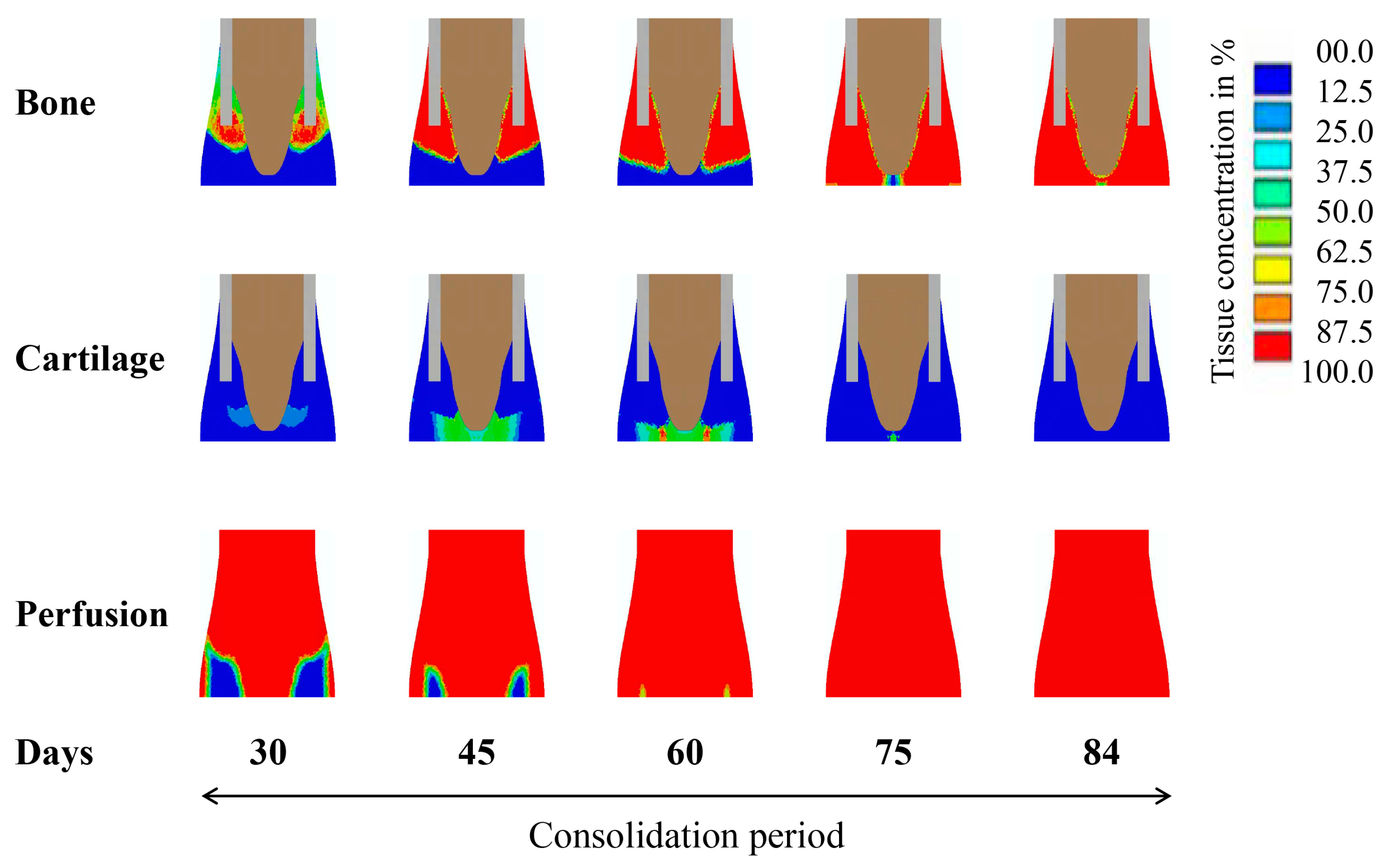 Ijms 22 11734 g003 550