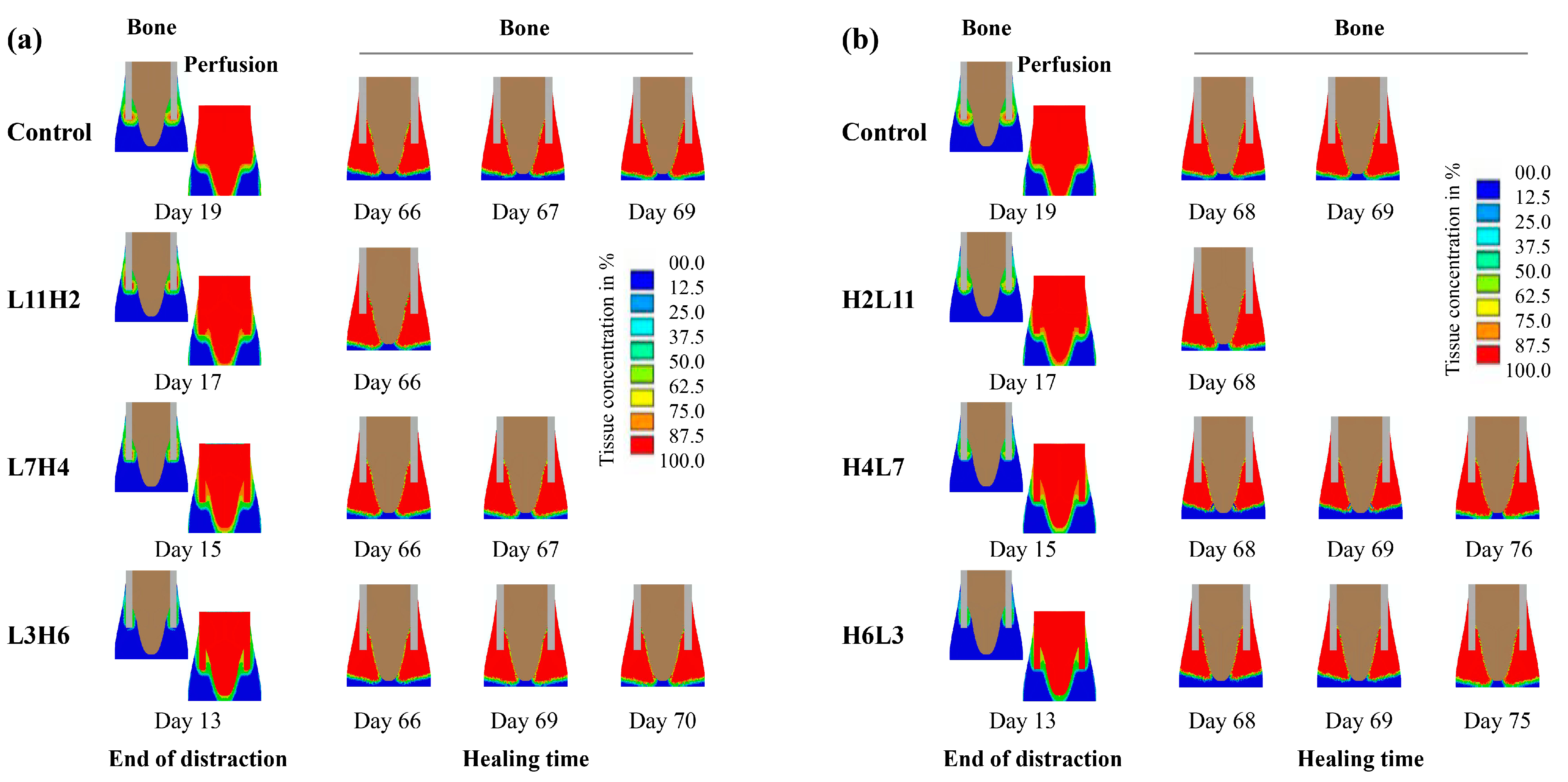 Ijms 22 11734 g008 550