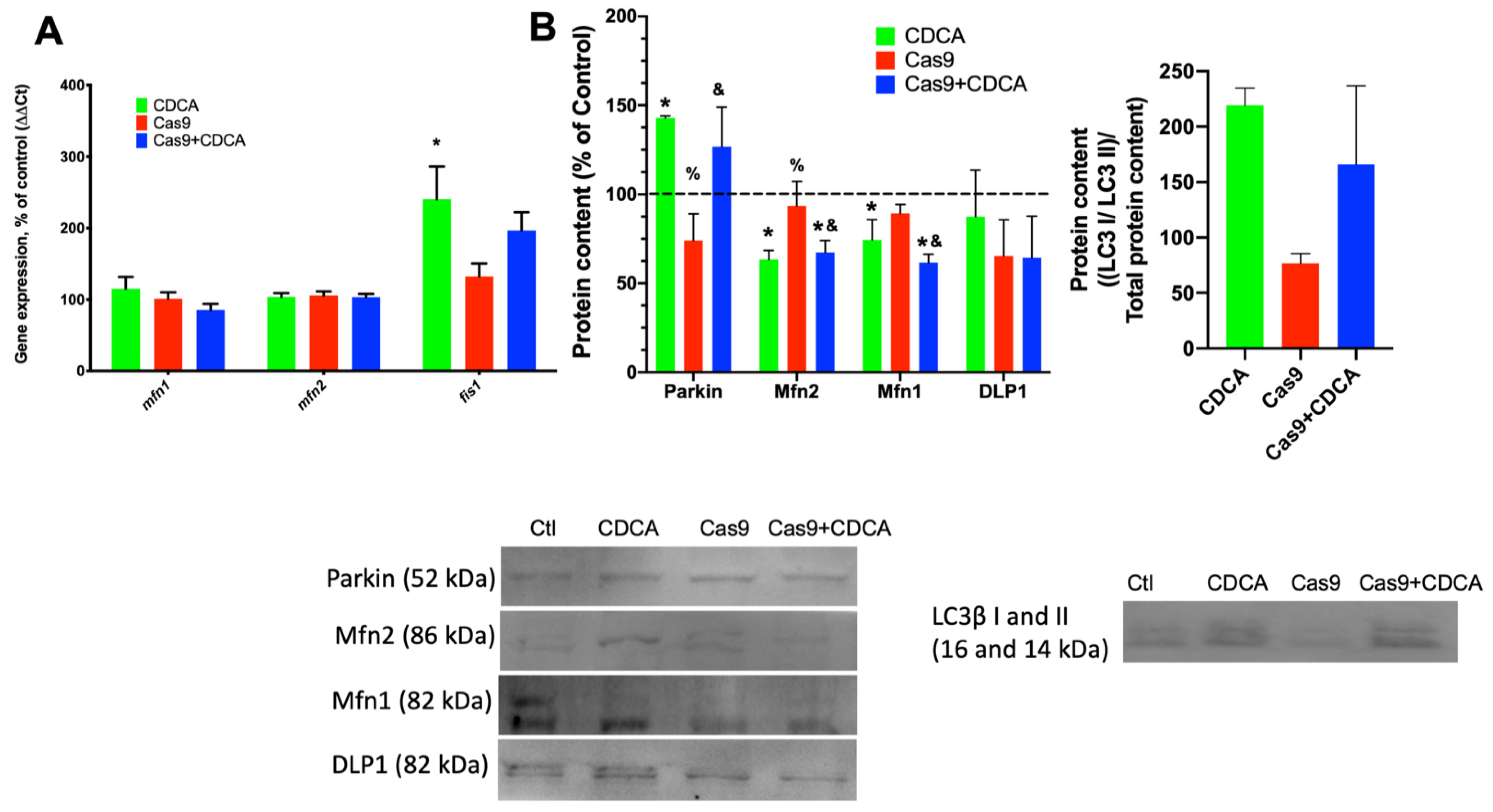 Ijms 22 11738 g005 550