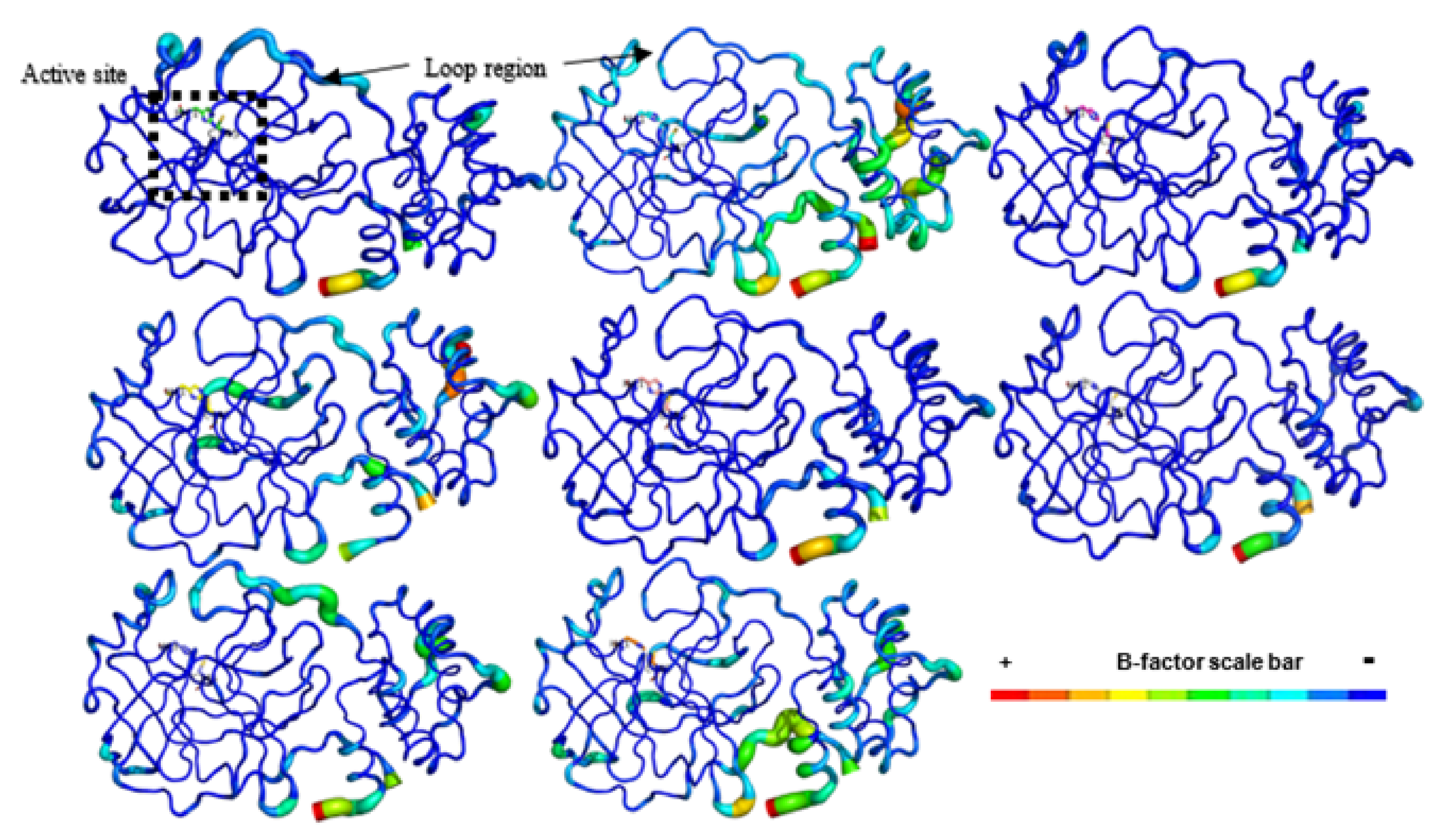 Ijms 22 11739 g003 550