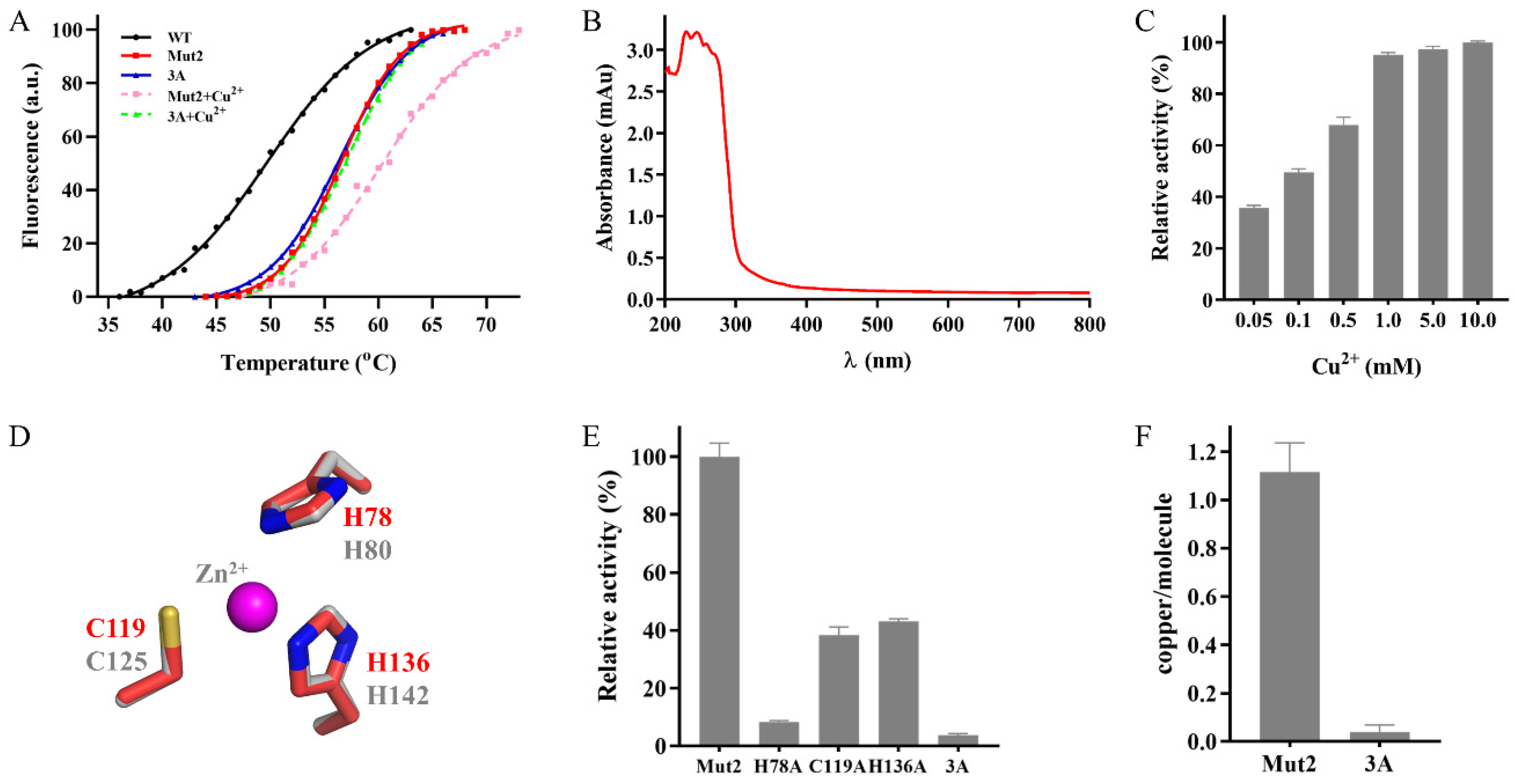 Ijms 22 11755 g004 550