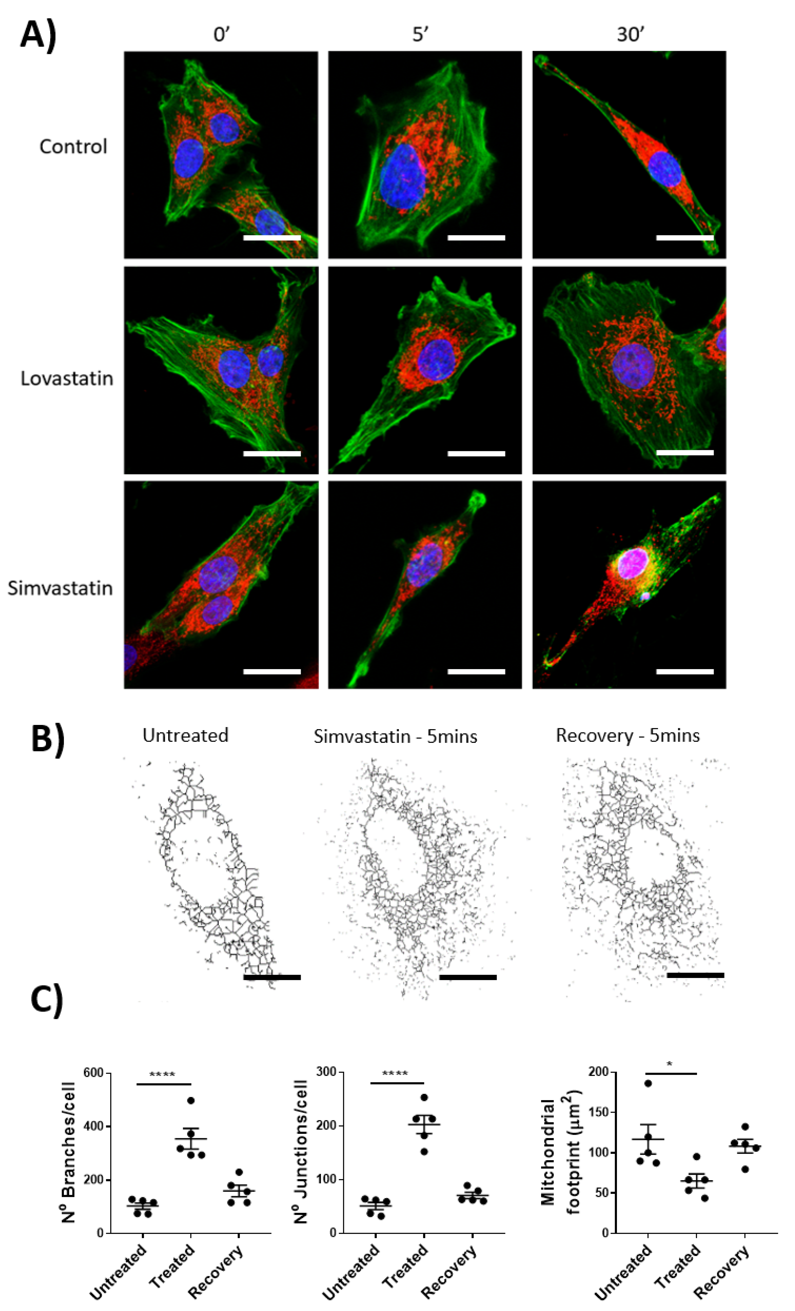 Ijms 22 11756 g003 550