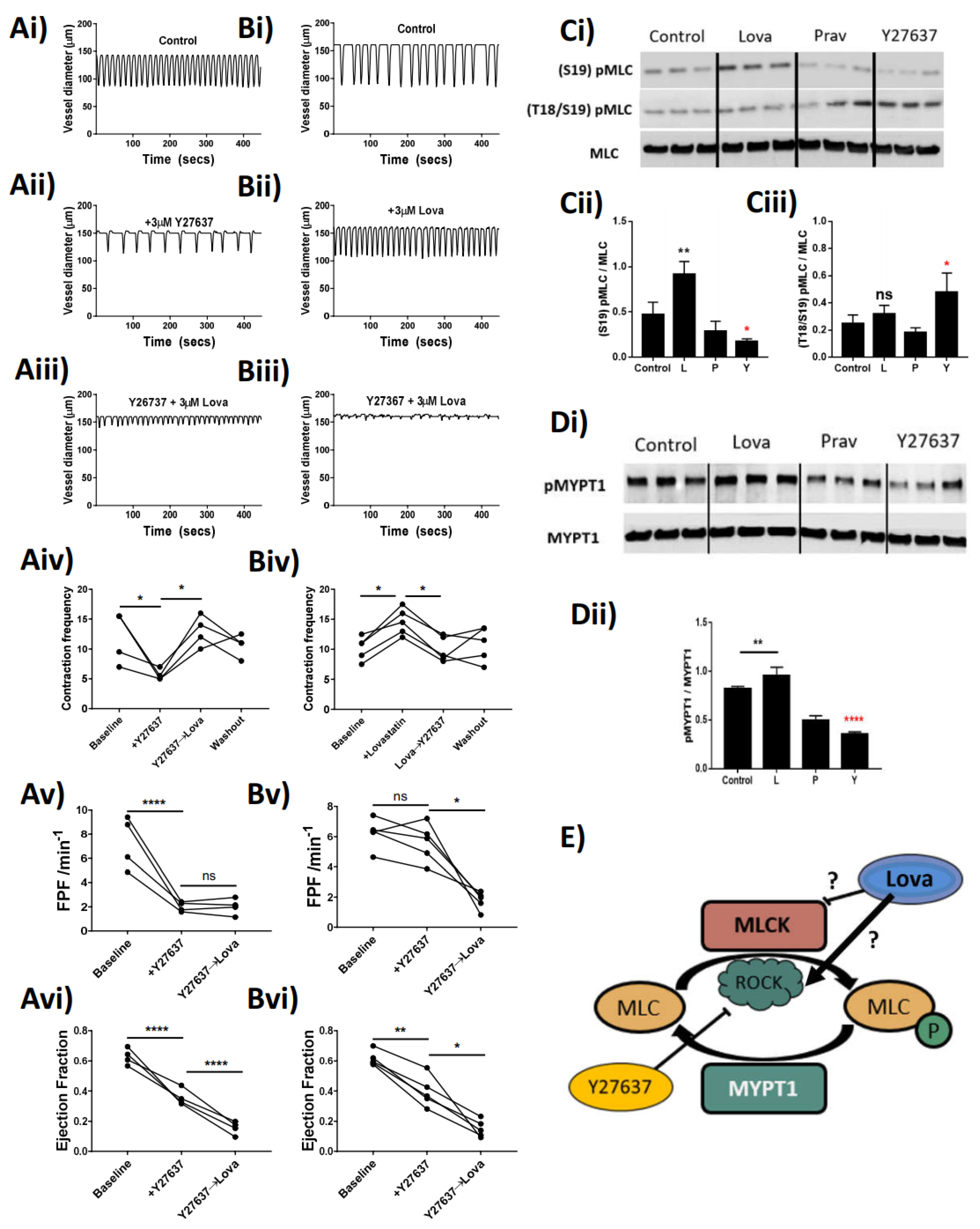 Ijms 22 11756 g005 550