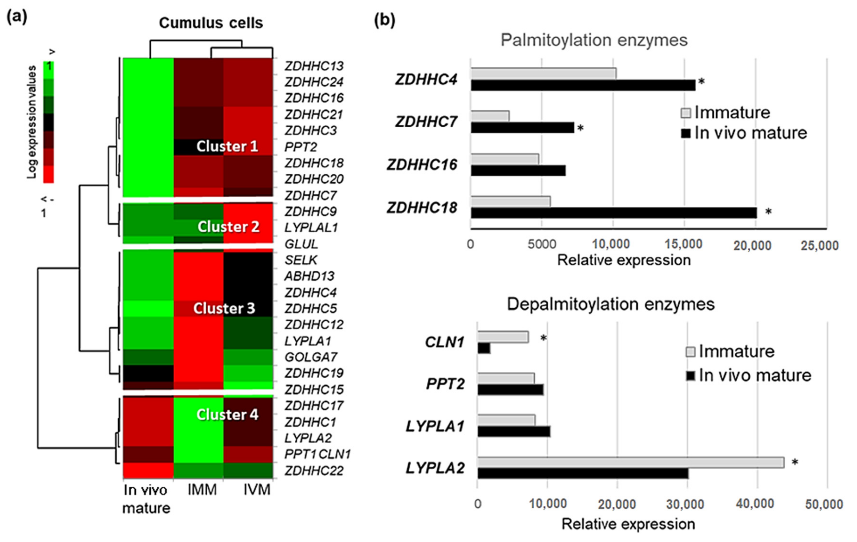 Ijms 22 11757 g008 Ijms 22 11757 g008