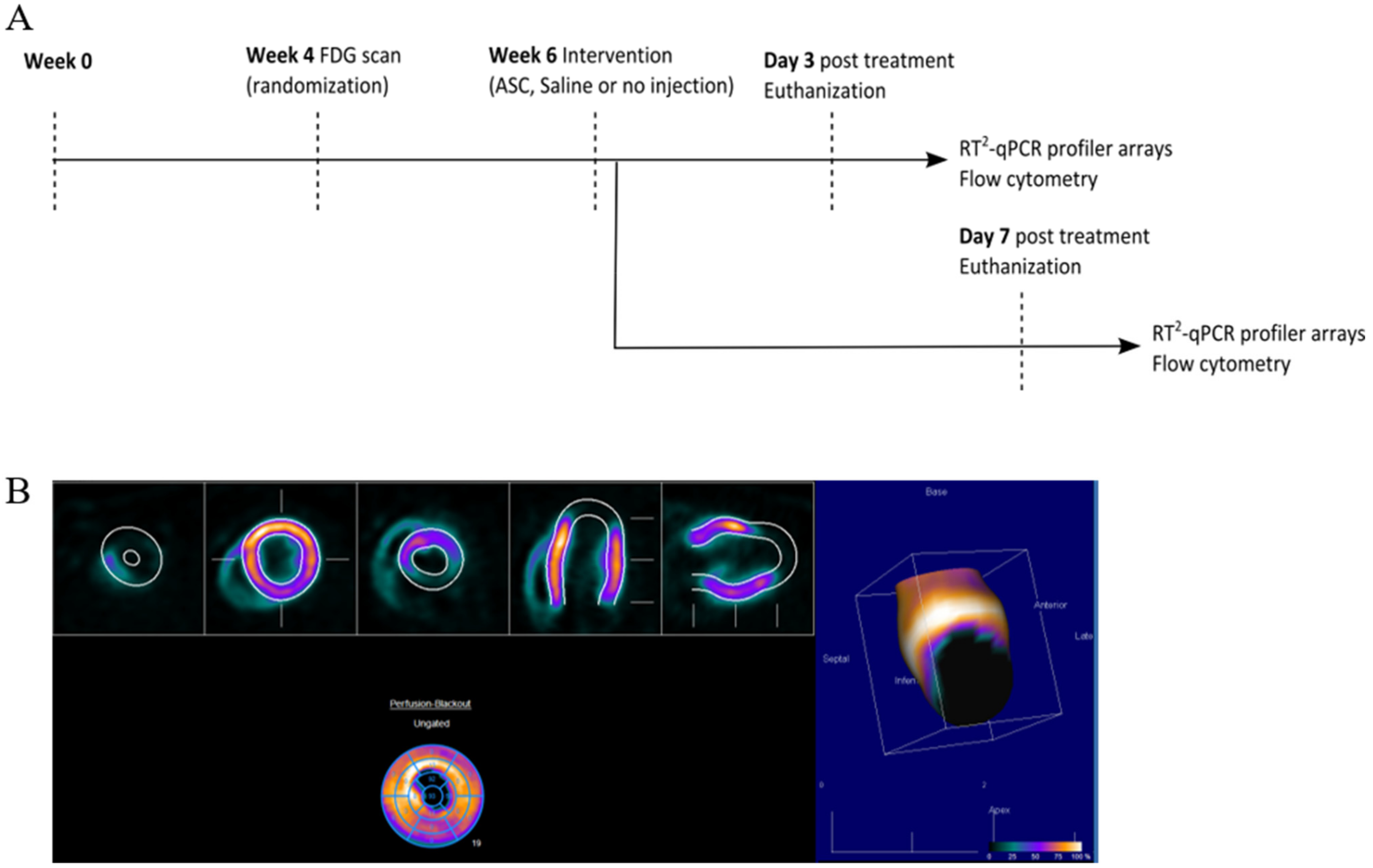Ijms 22 11758 g002 550