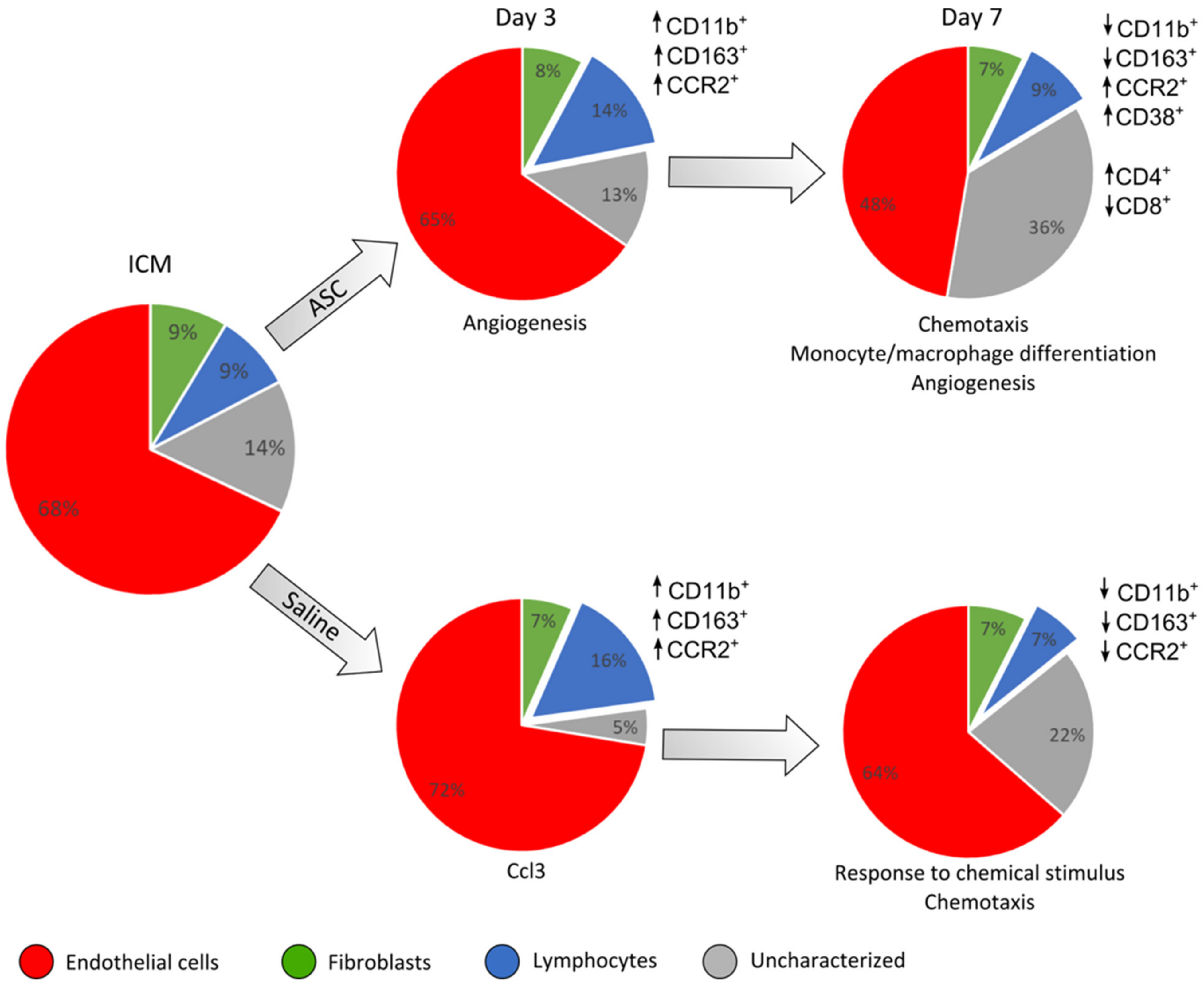Ijms 22 11758 g007 550
