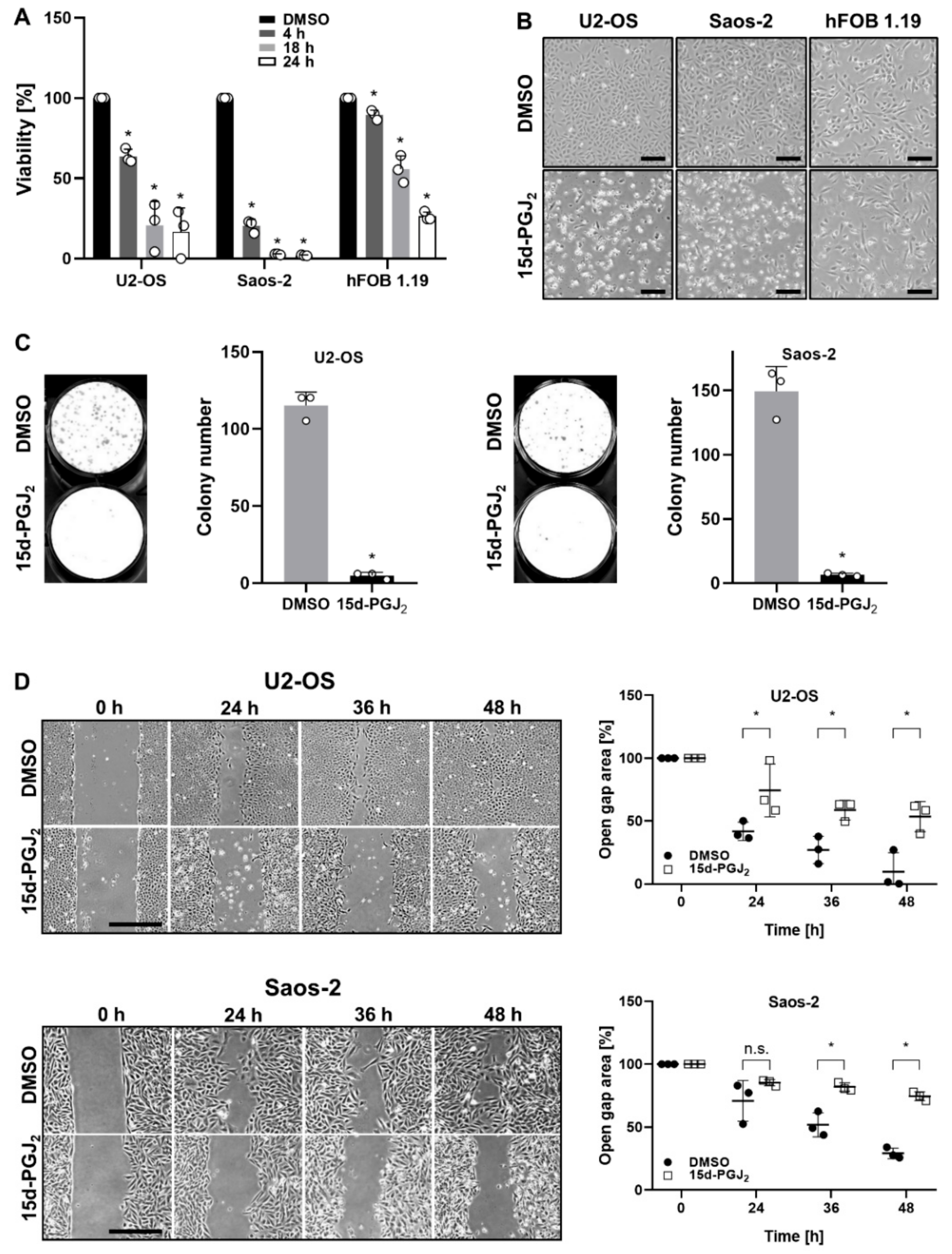 Ijms 22 11760 g001 Ijms 22 11760 g001