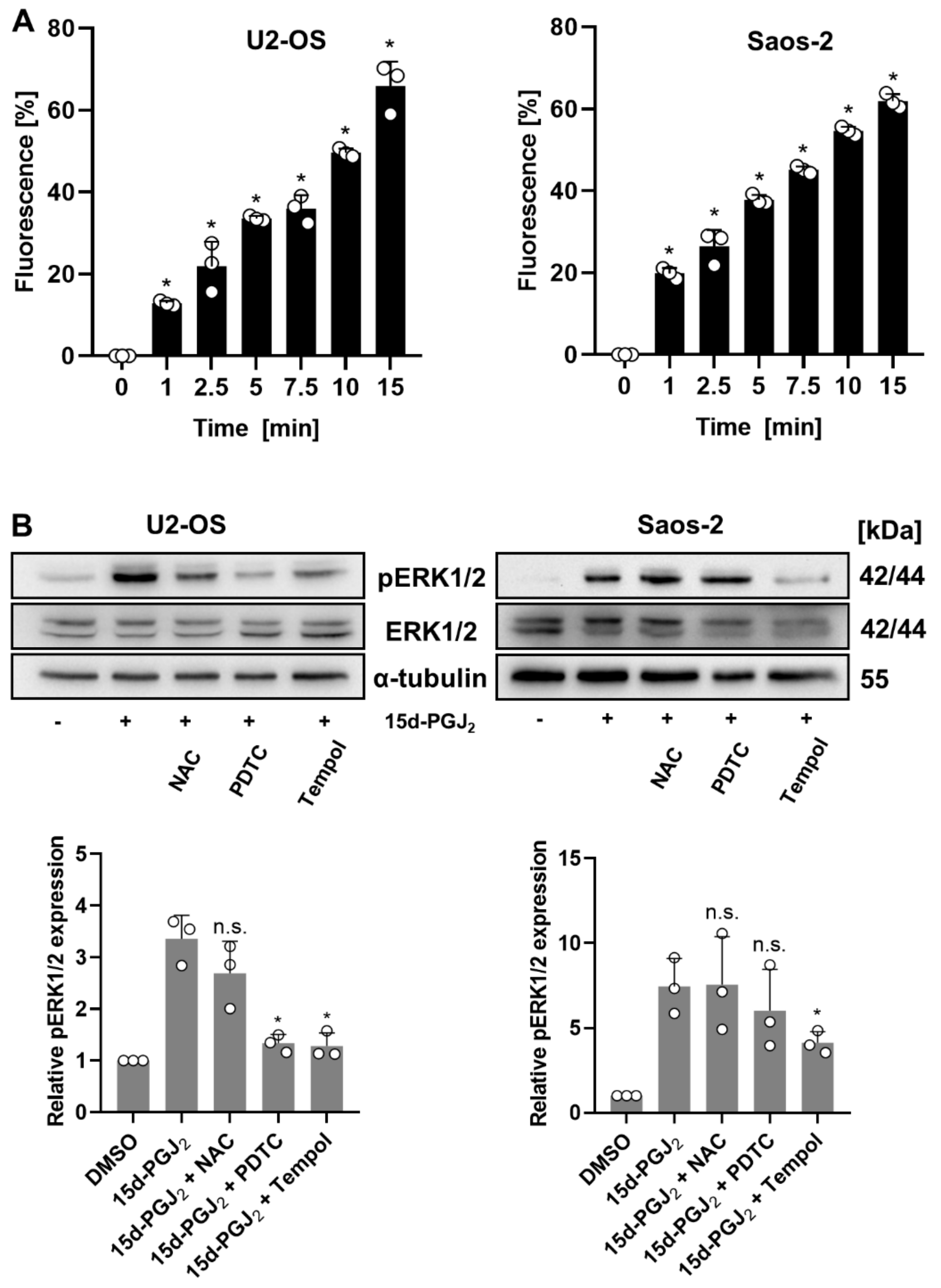 Ijms 22 11760 g002 Ijms 22 11760 g002