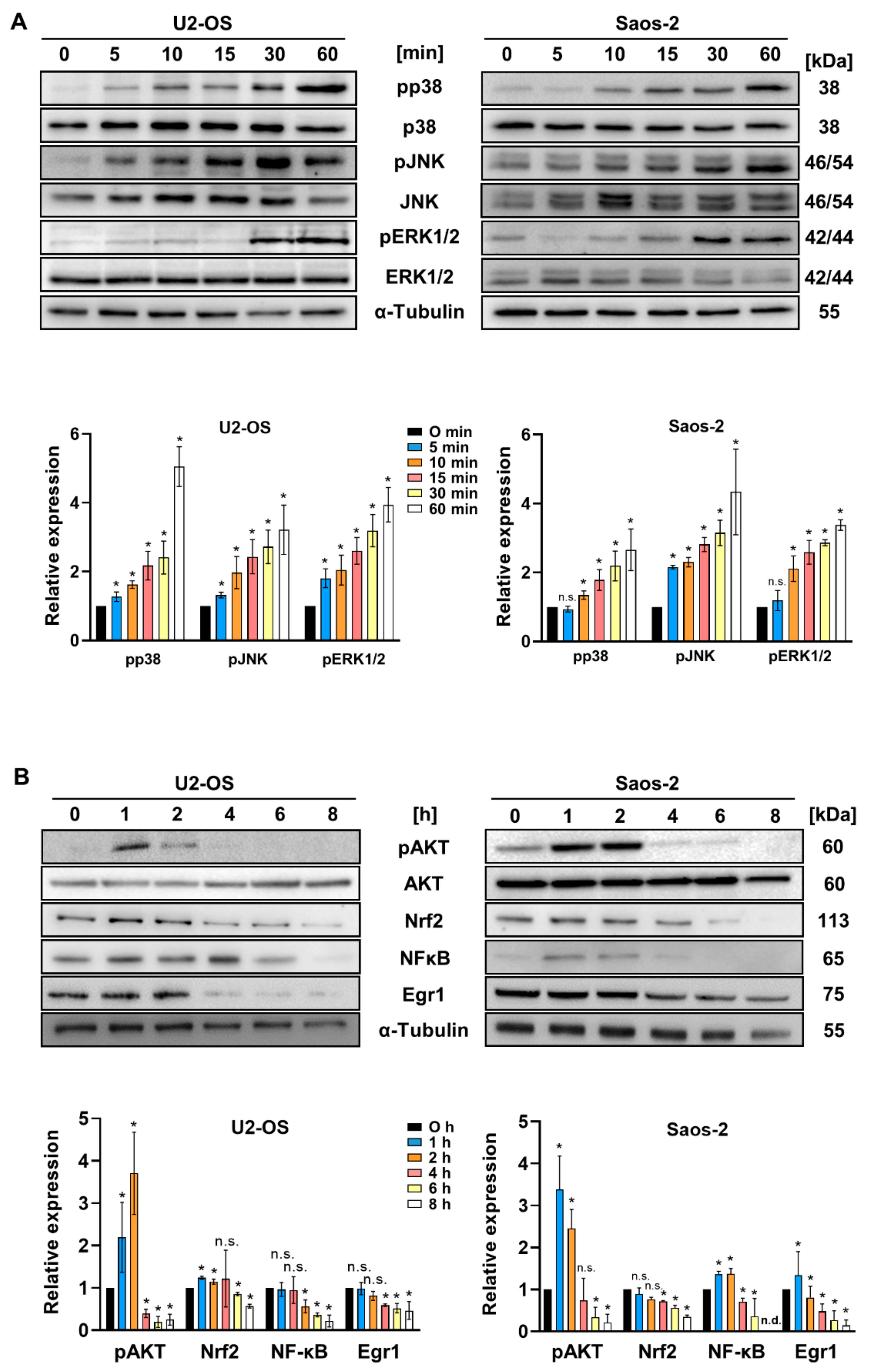 Ijms 22 11760 g004 Ijms 22 11760 g004
