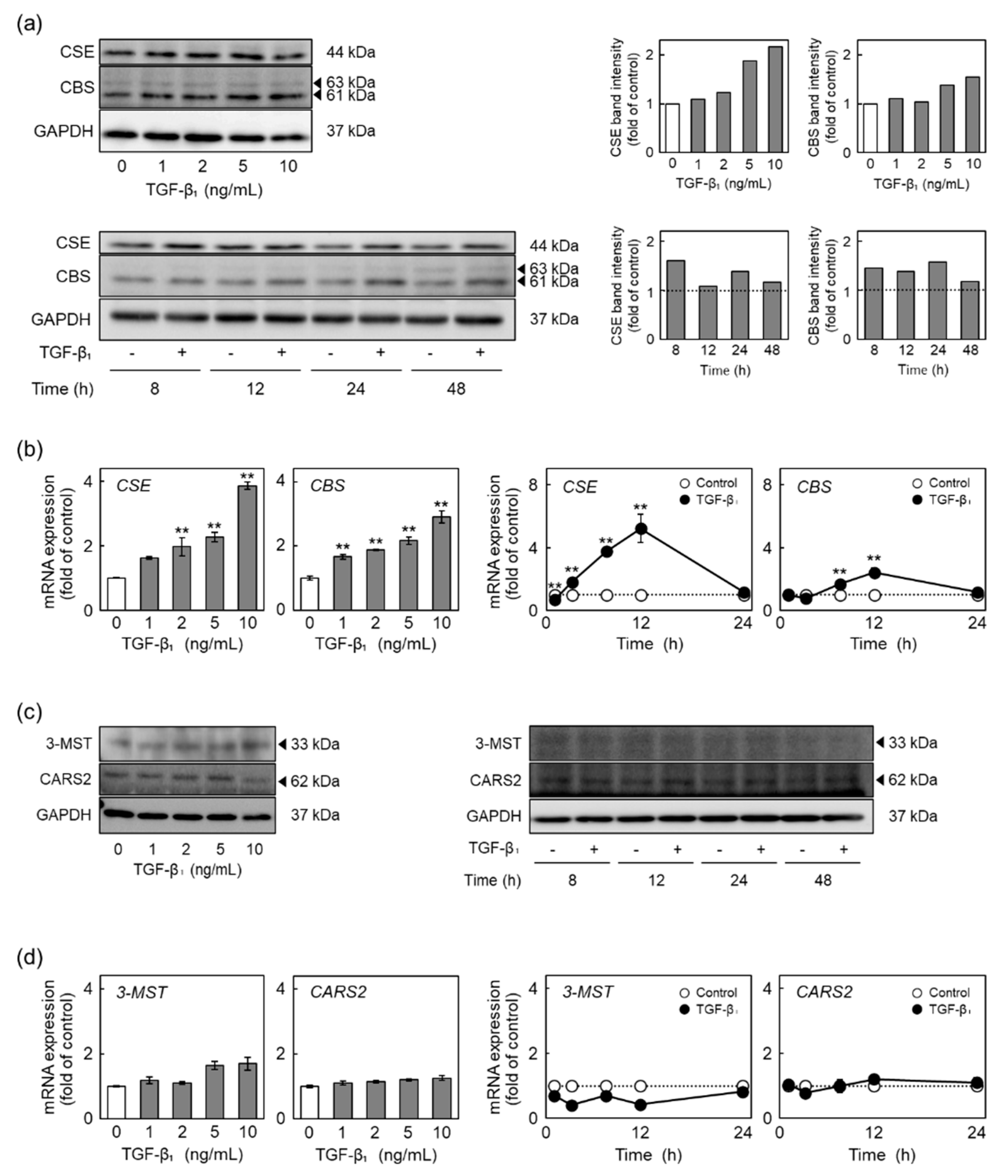 Ijms 22 11762 g003 550