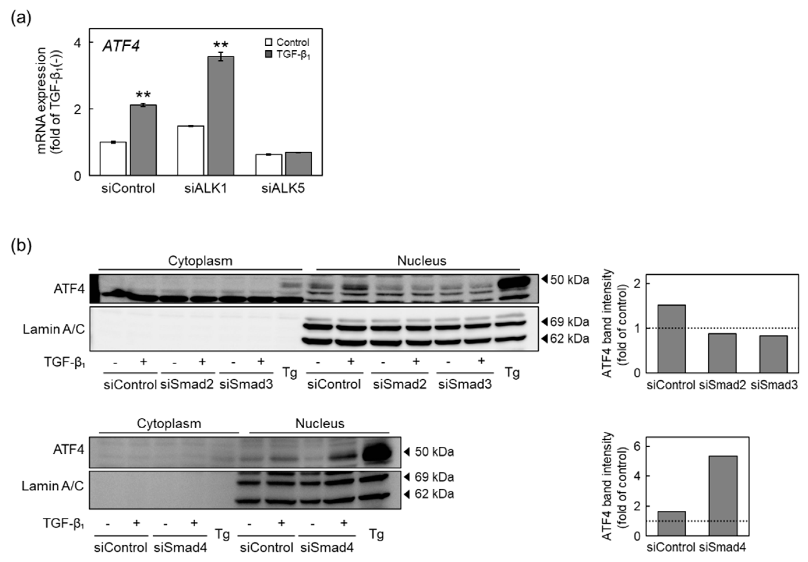 Ijms 22 11762 g007 550