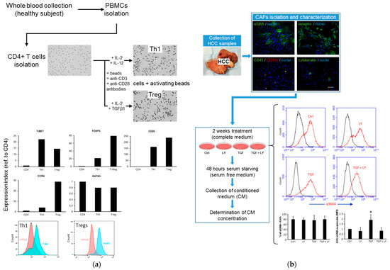 サンプル Frontiers | Reconstruction of July temperature based on tree