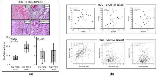 Direct and Indirect Effect of TGFβ on Treg Transendothelial Direct and Indirect Effect of TGFβ on Treg Transendothelial