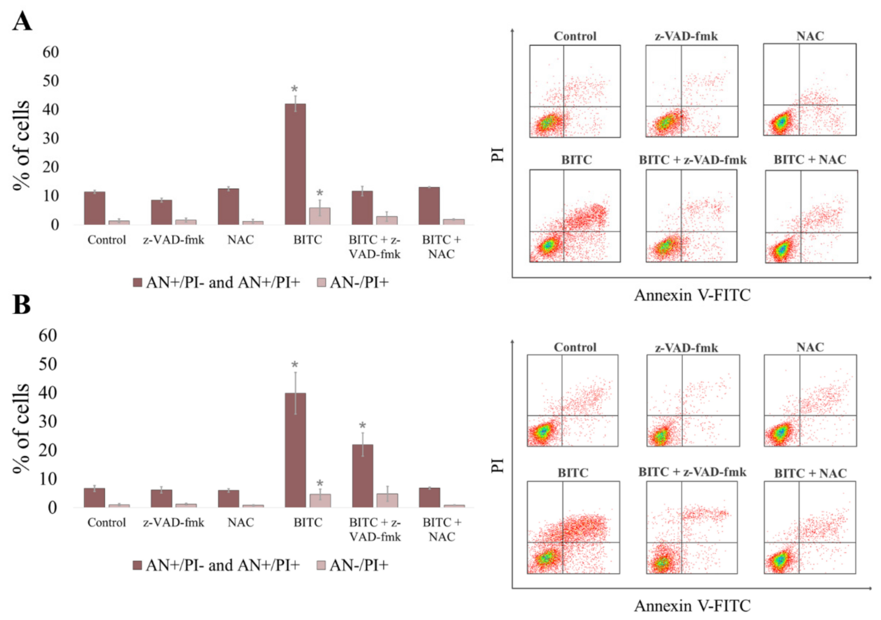 Ijms 22 11772 g003 Ijms 22 11772 g003