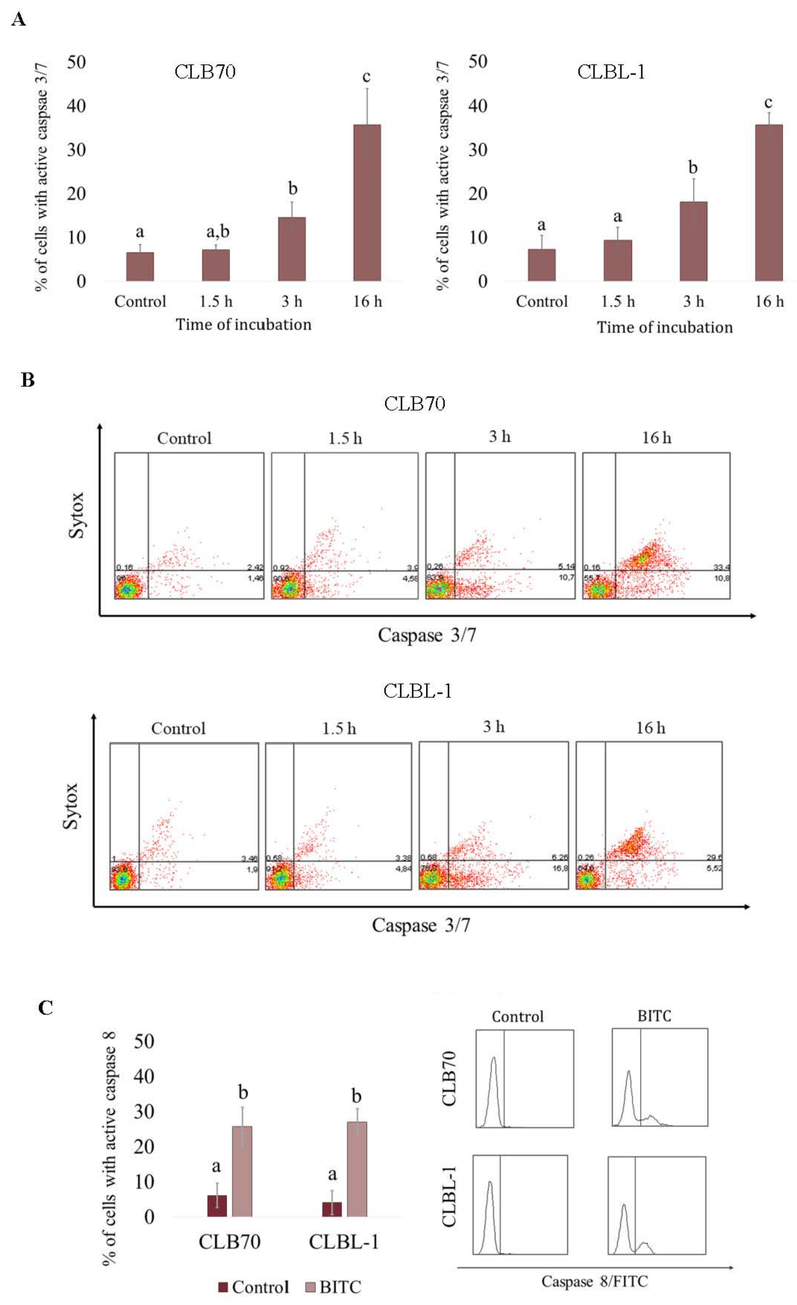 Ijms 22 11772 g004 Ijms 22 11772 g004