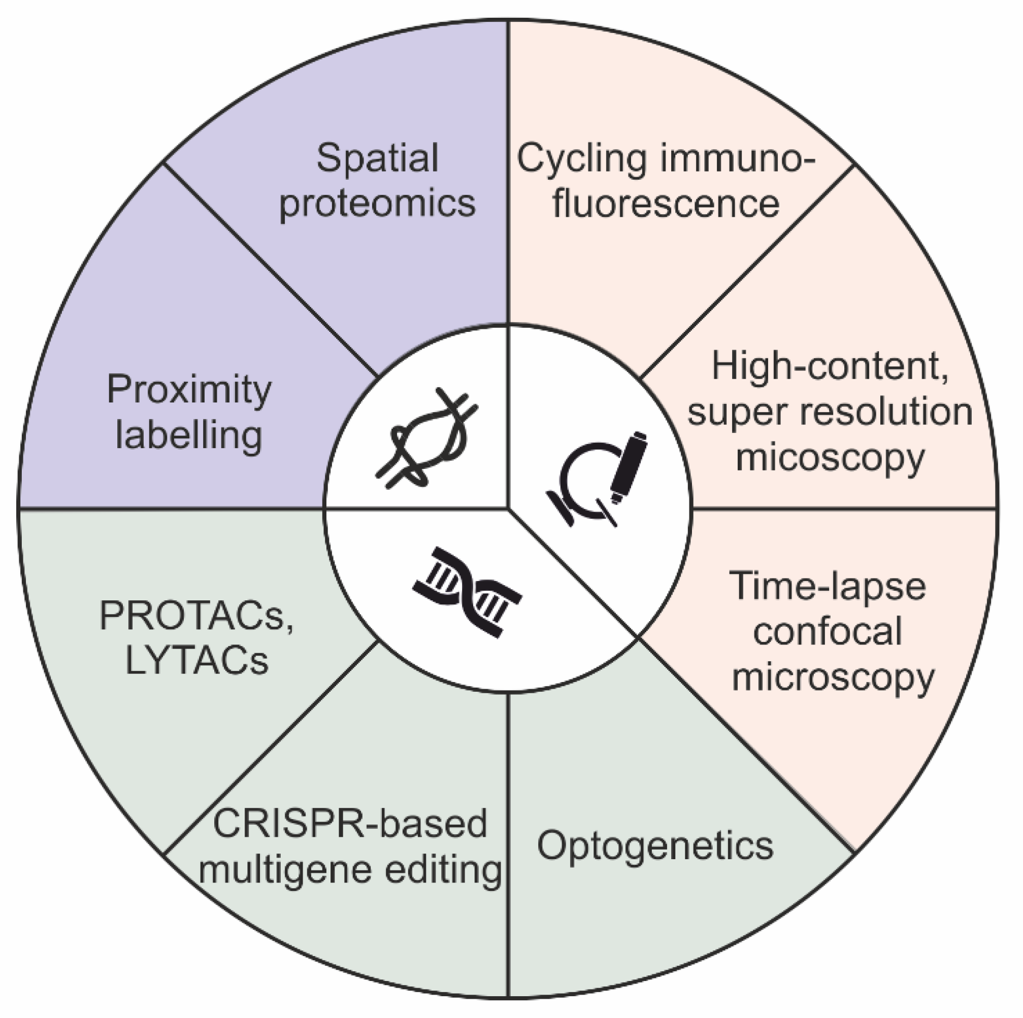 Ijms 22 11773 g001 550