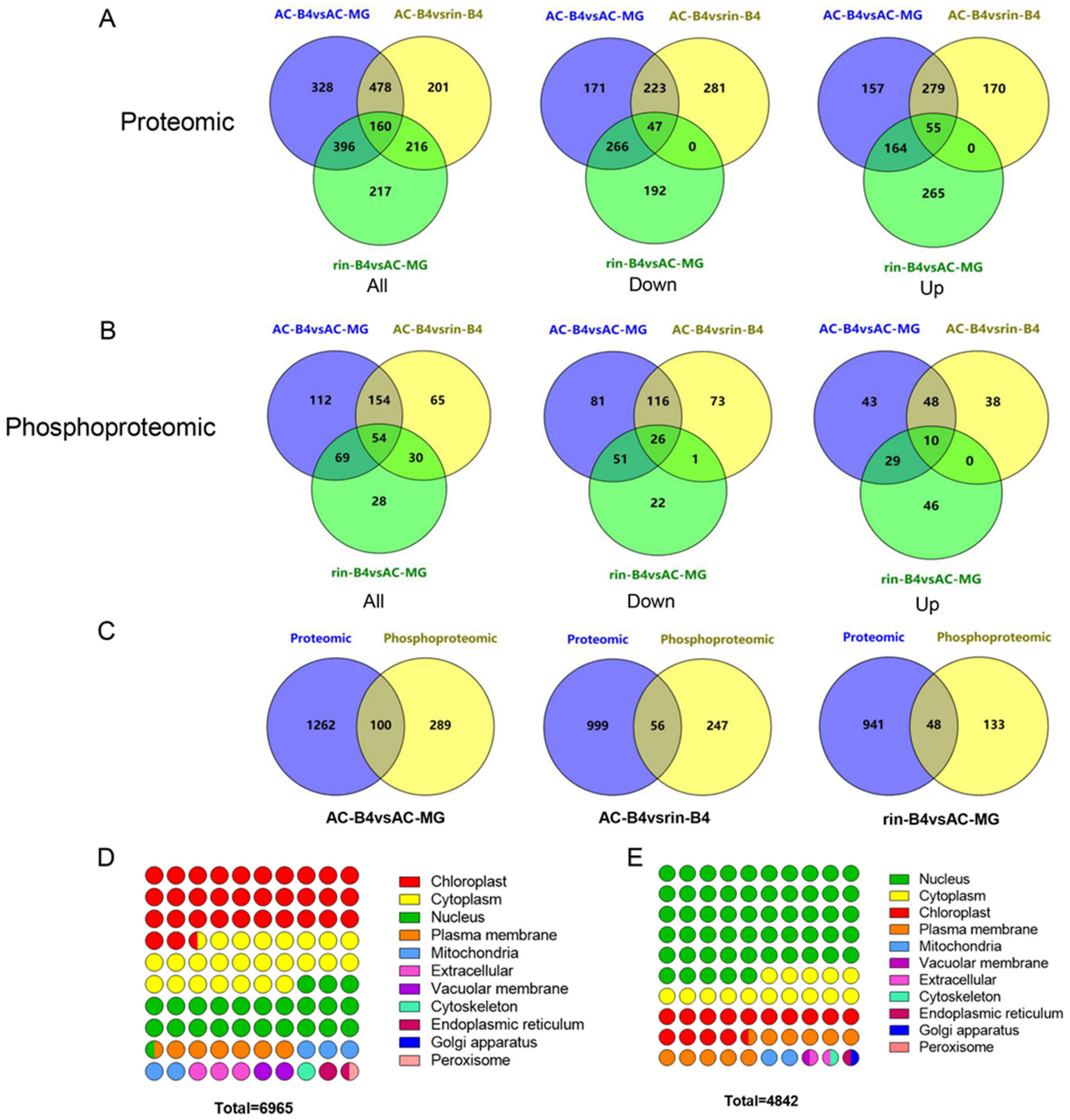 Ijms 22 11782 g002 550