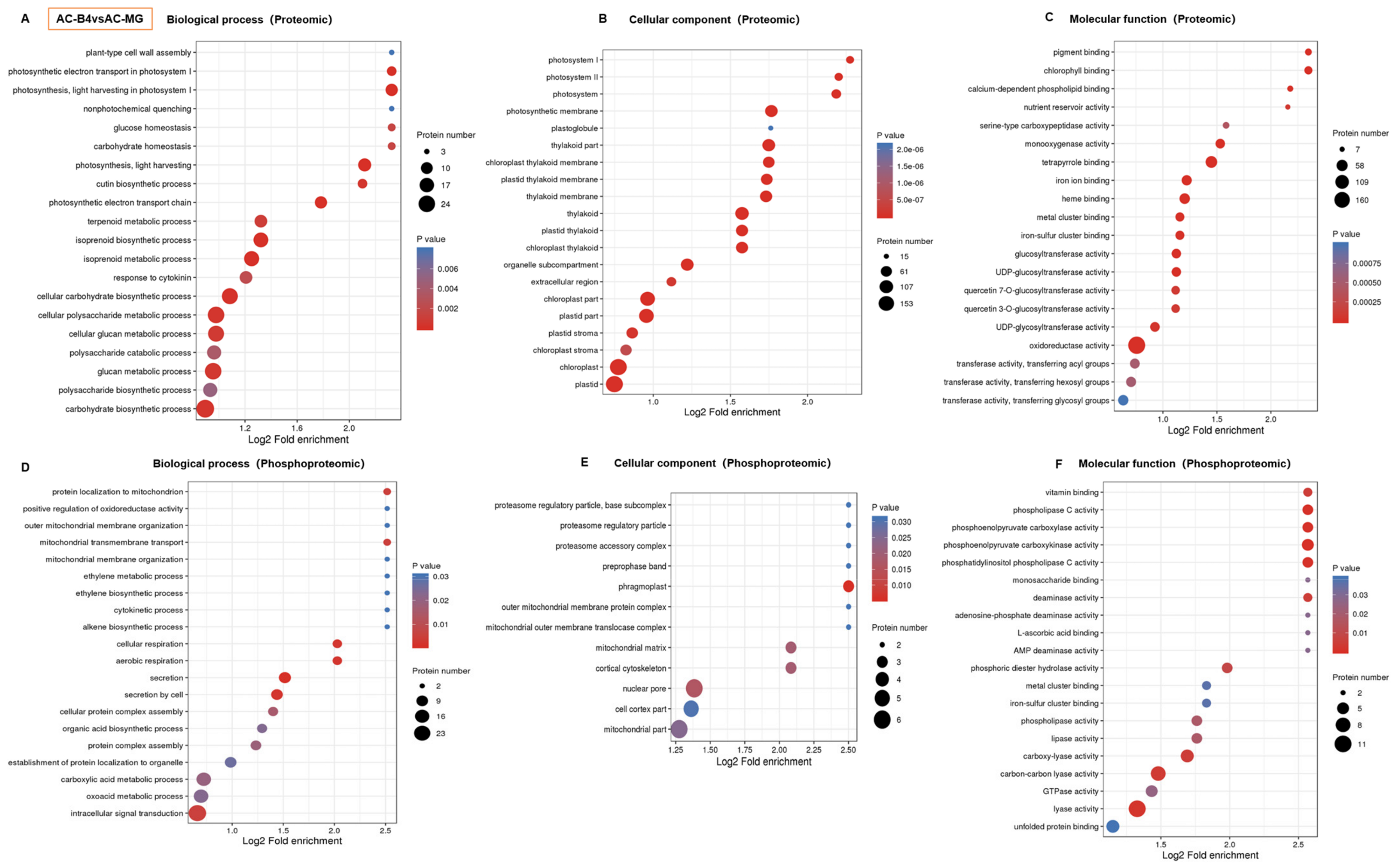 Ijms 22 11782 g005 550
