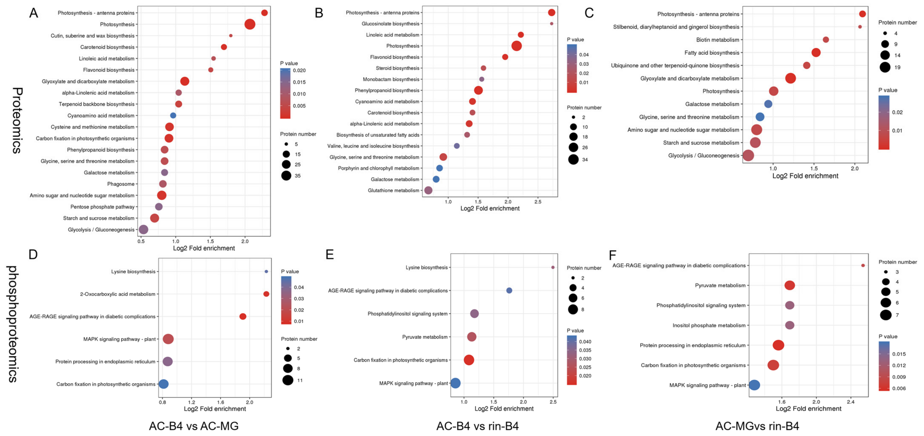 Ijms 22 11782 g006 550