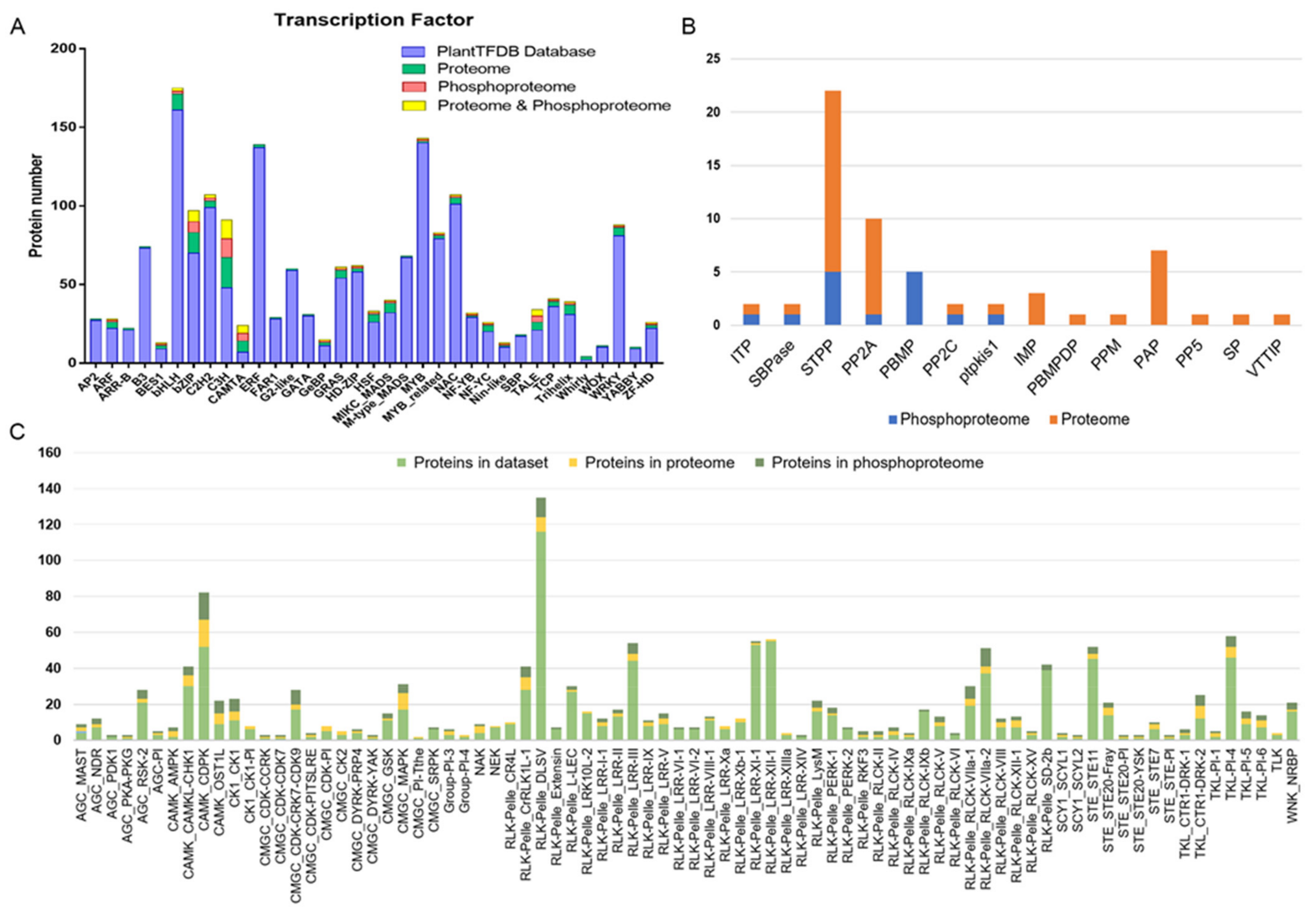 Ijms 22 11782 g007 550