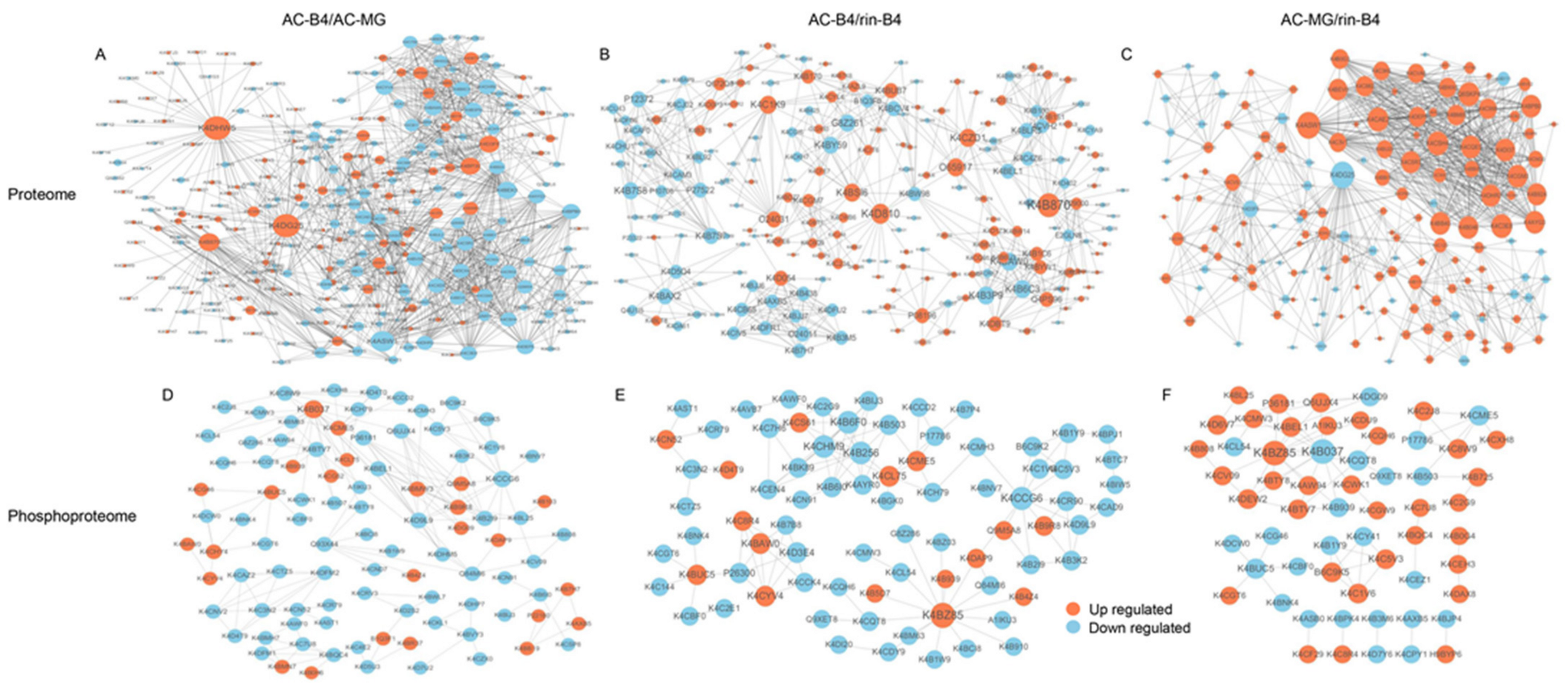 Ijms 22 11782 g011 550