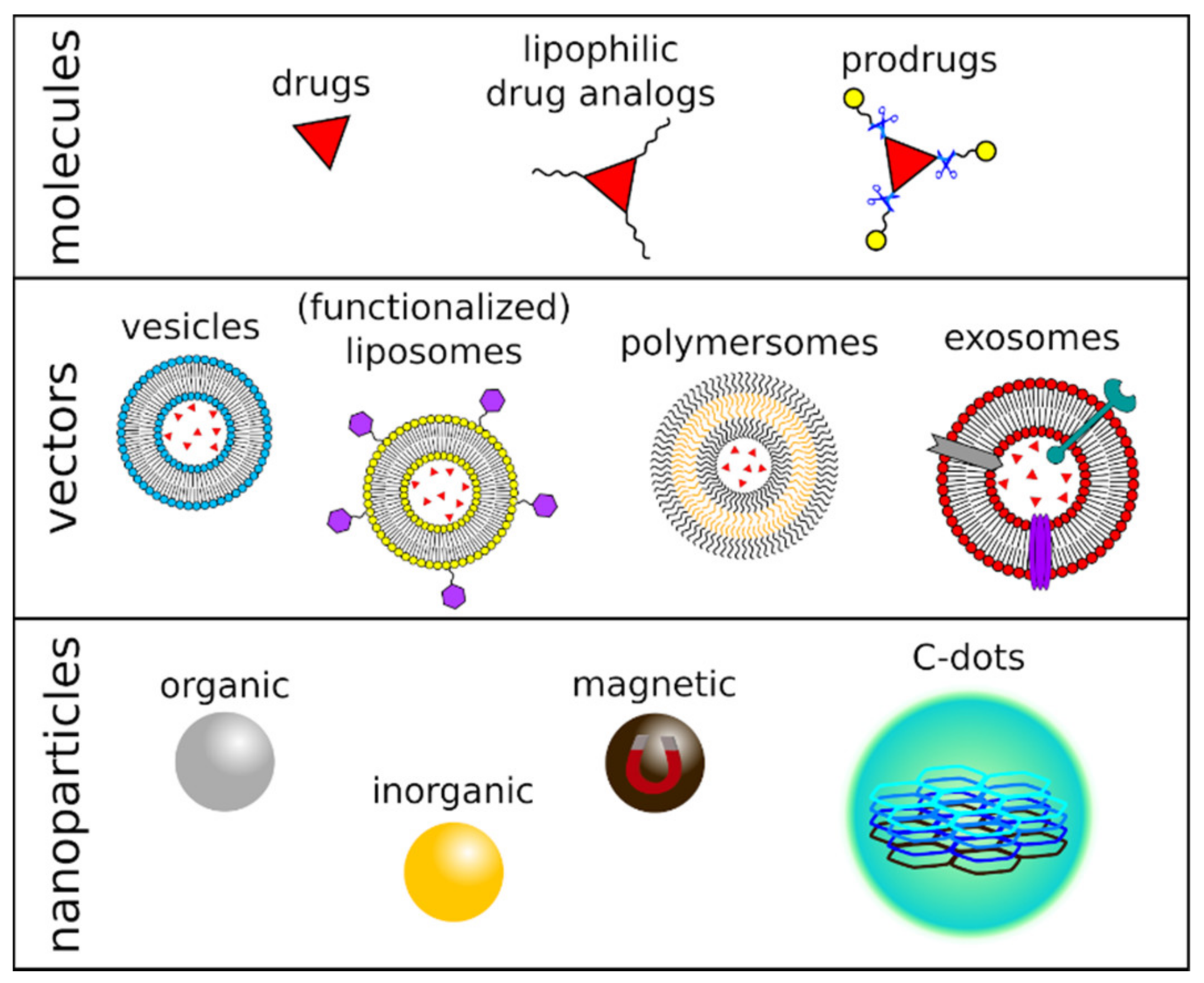 IJMS | Free Full-Text | Carbon Dots: An Innovative Tool for Drug 