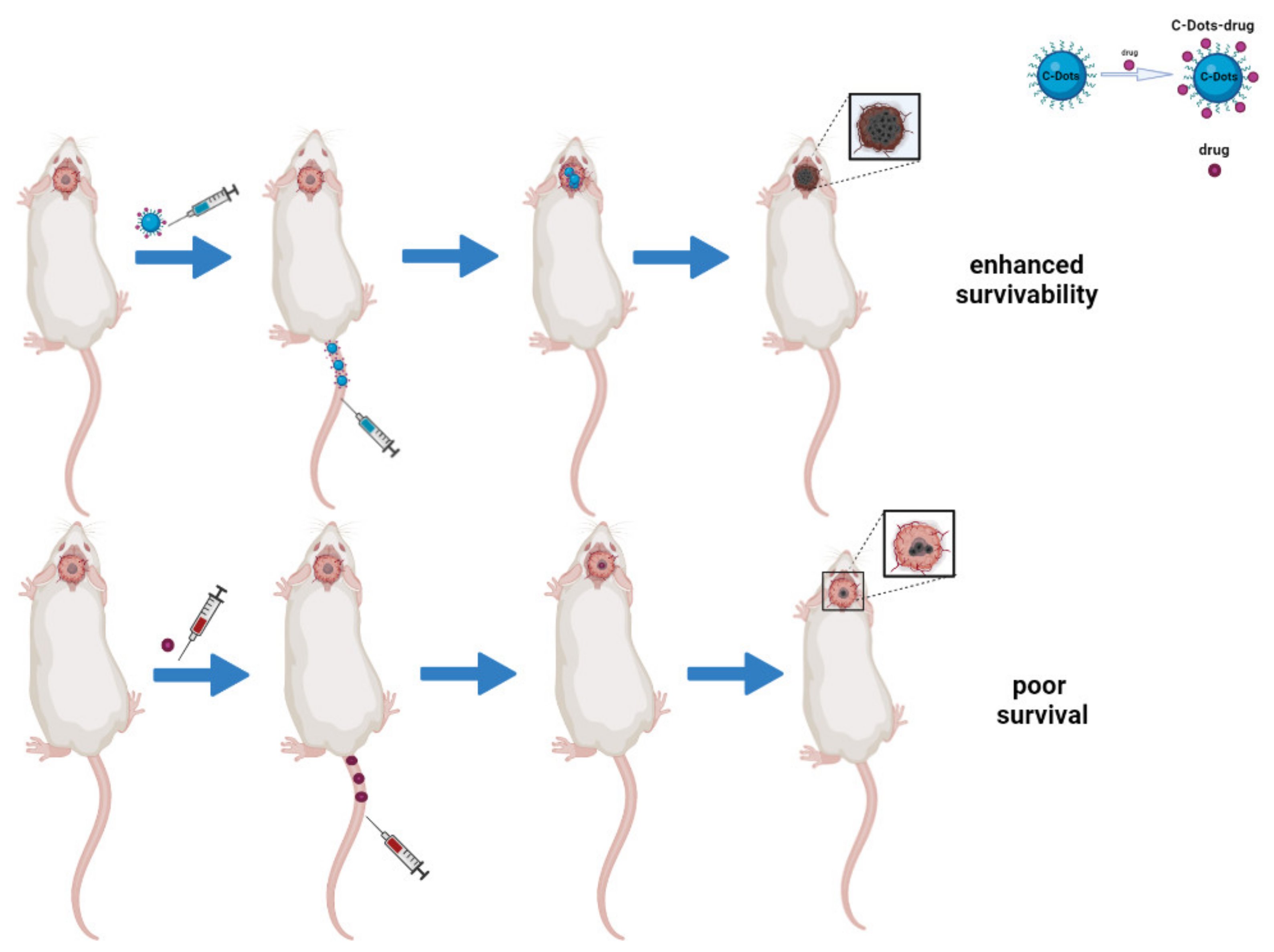 Carbon Dots: An Innovative Tool for Drug Delivery in Brain