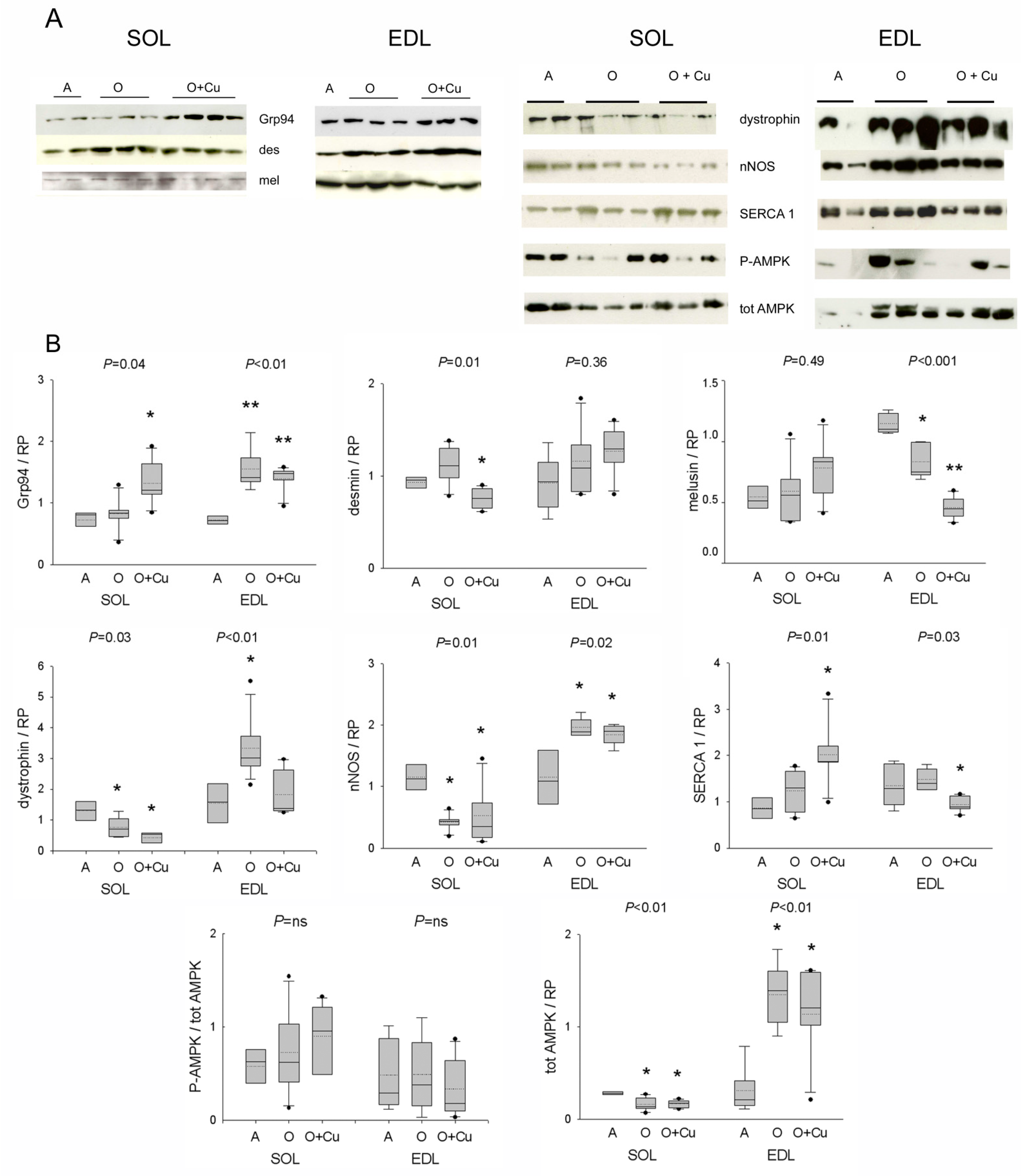 Ijms 22 11789 g005 Ijms 22 11789 g005