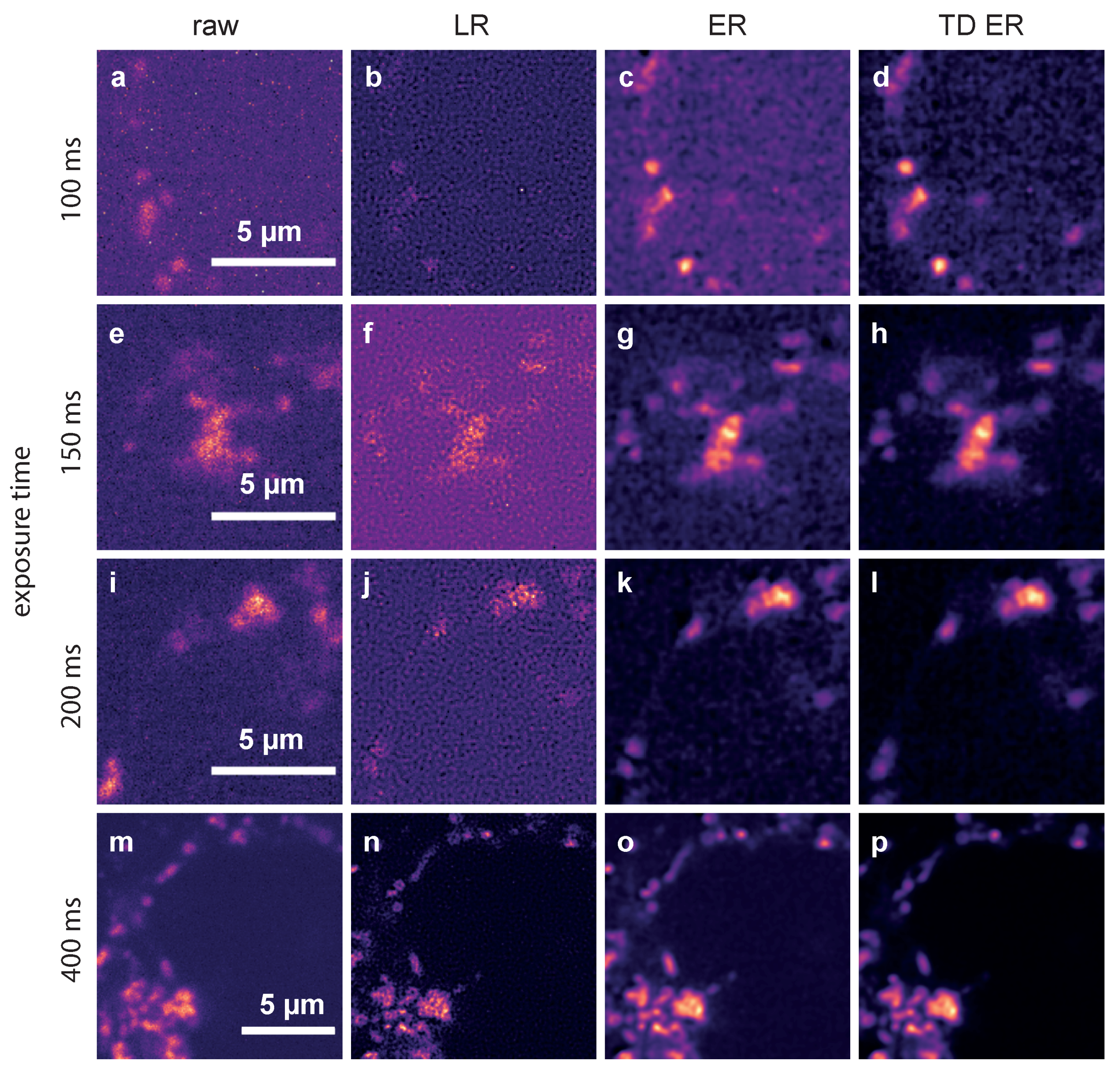 Ijms 22 11792 g003 550