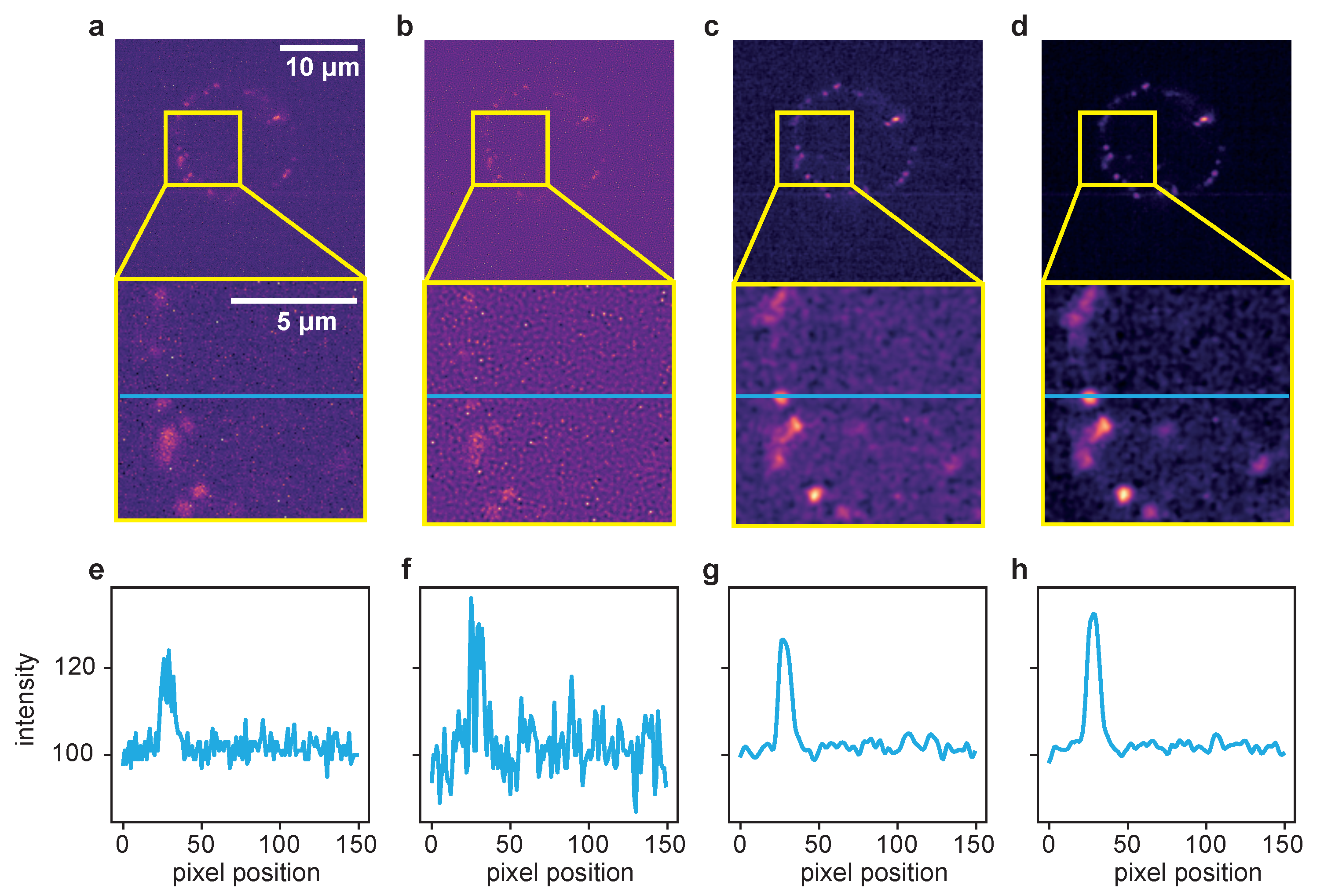 Ijms 22 11792 g004 550