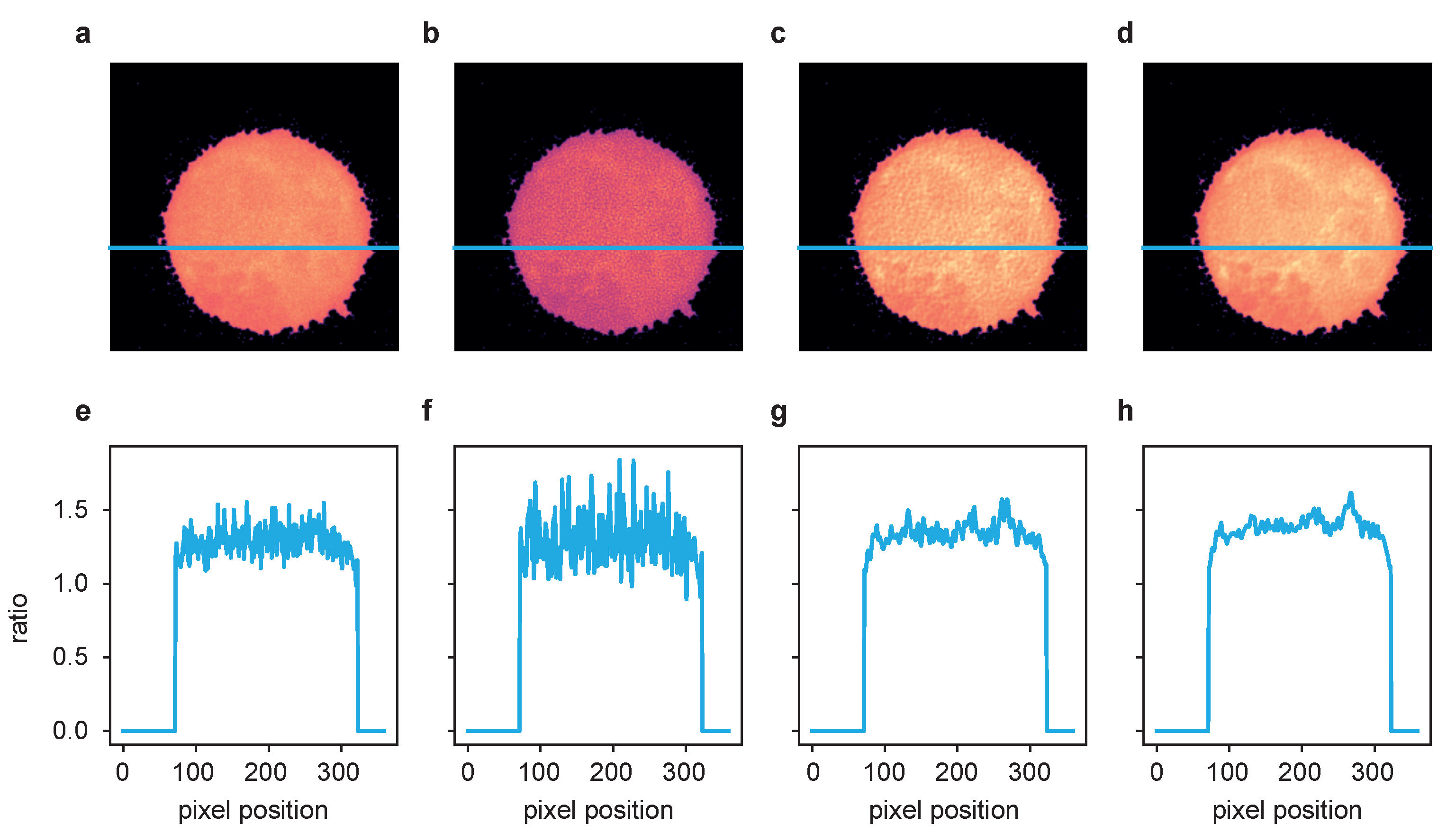 Ijms 22 11792 g006 550
