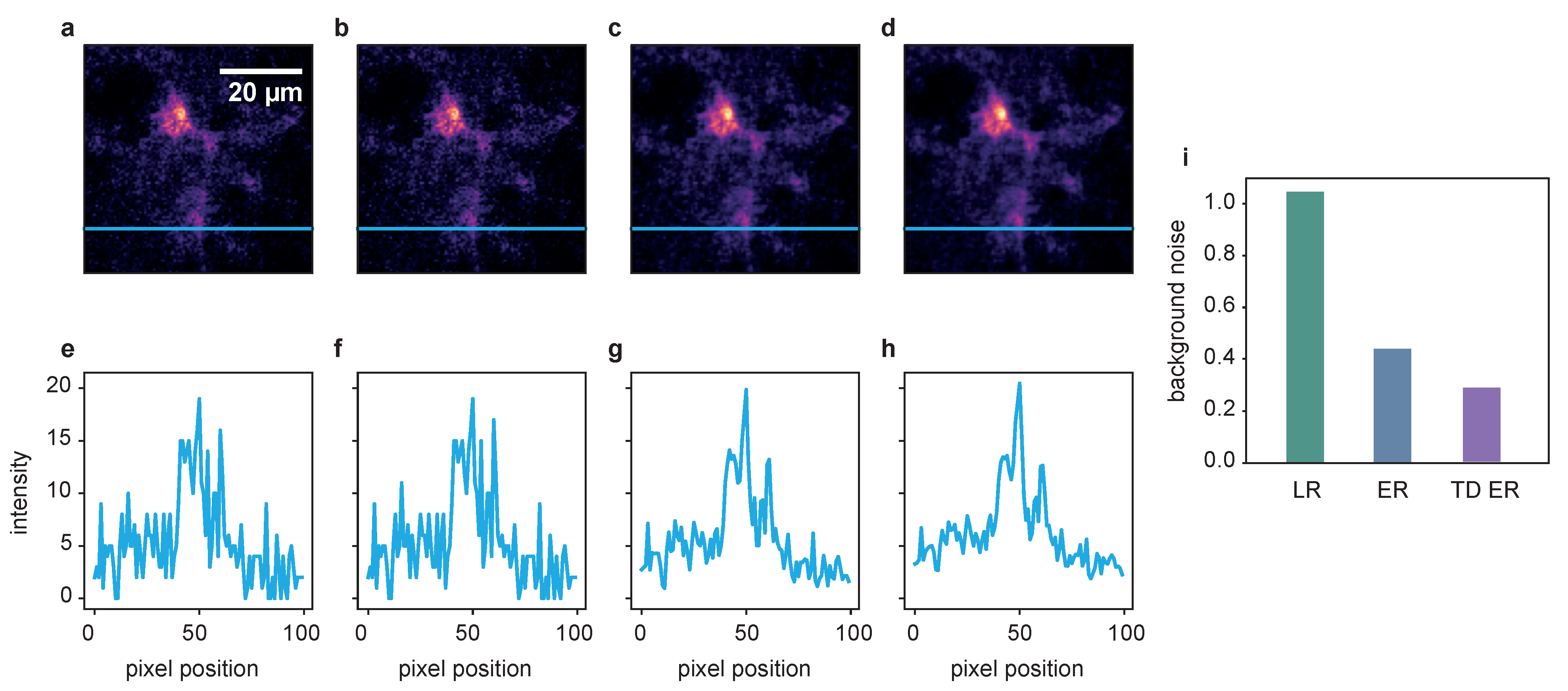 Ijms 22 11792 g007 550