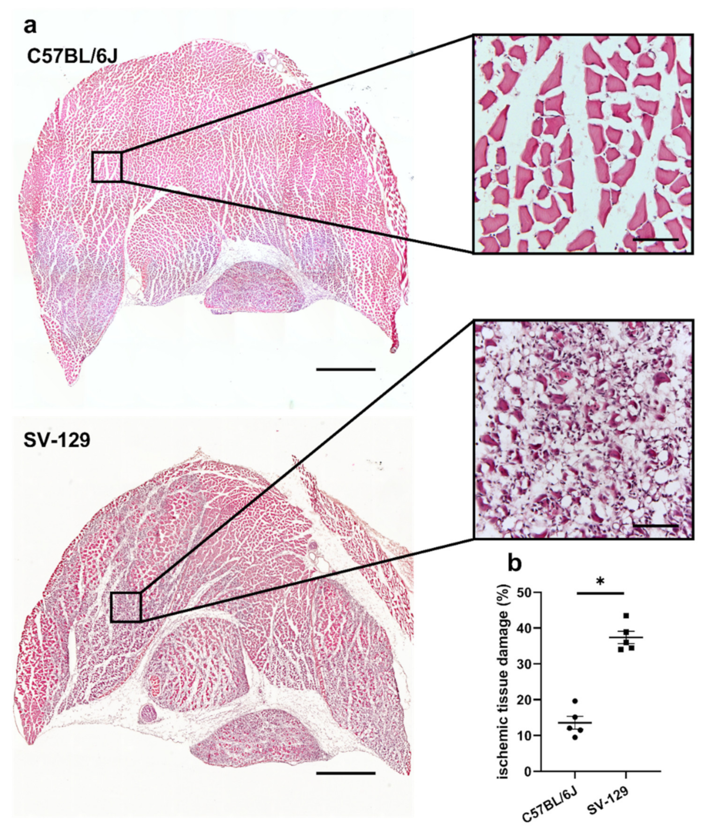 Ijms 22 11795 g001 550