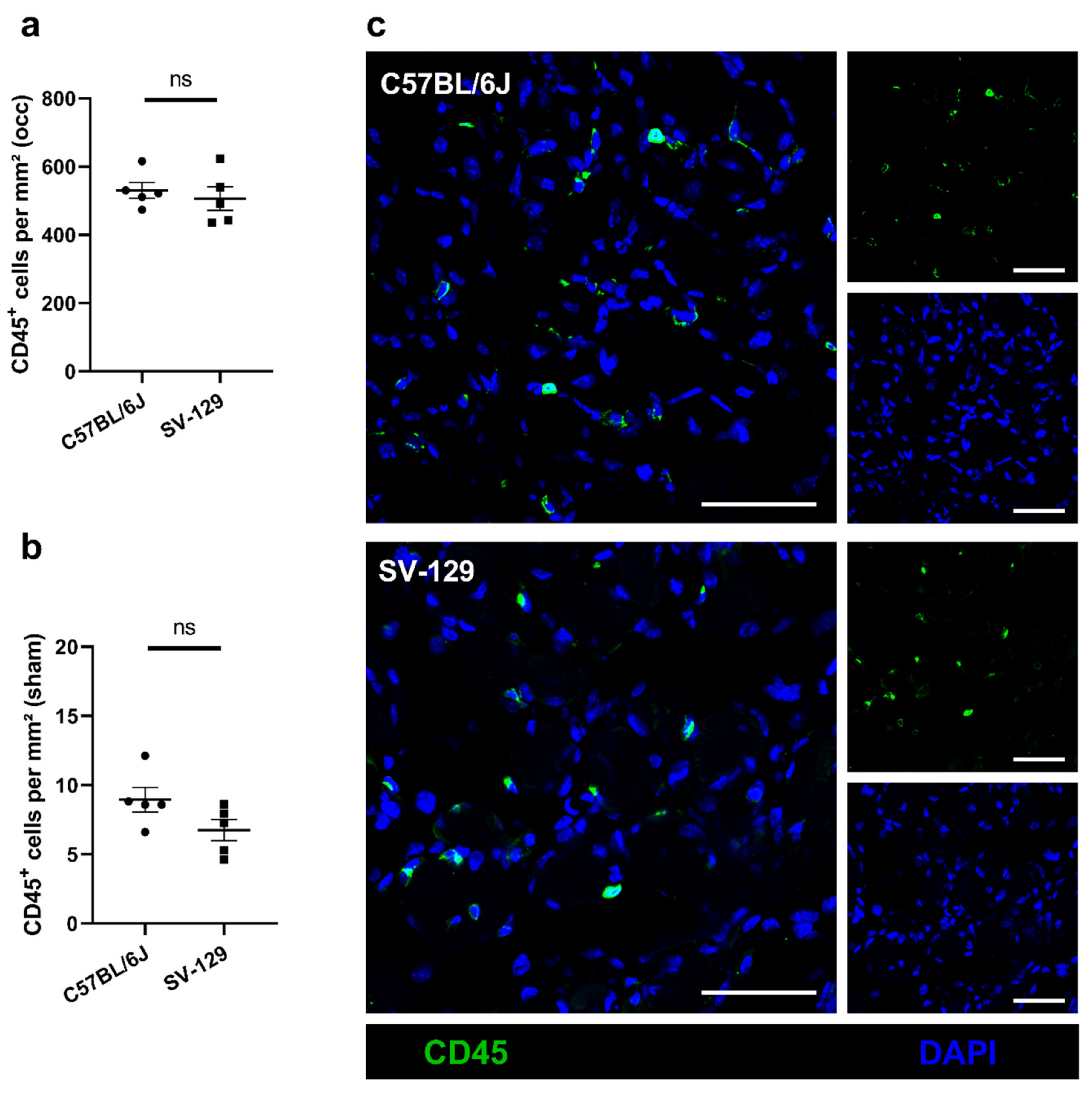 Ijms 22 11795 g003 550