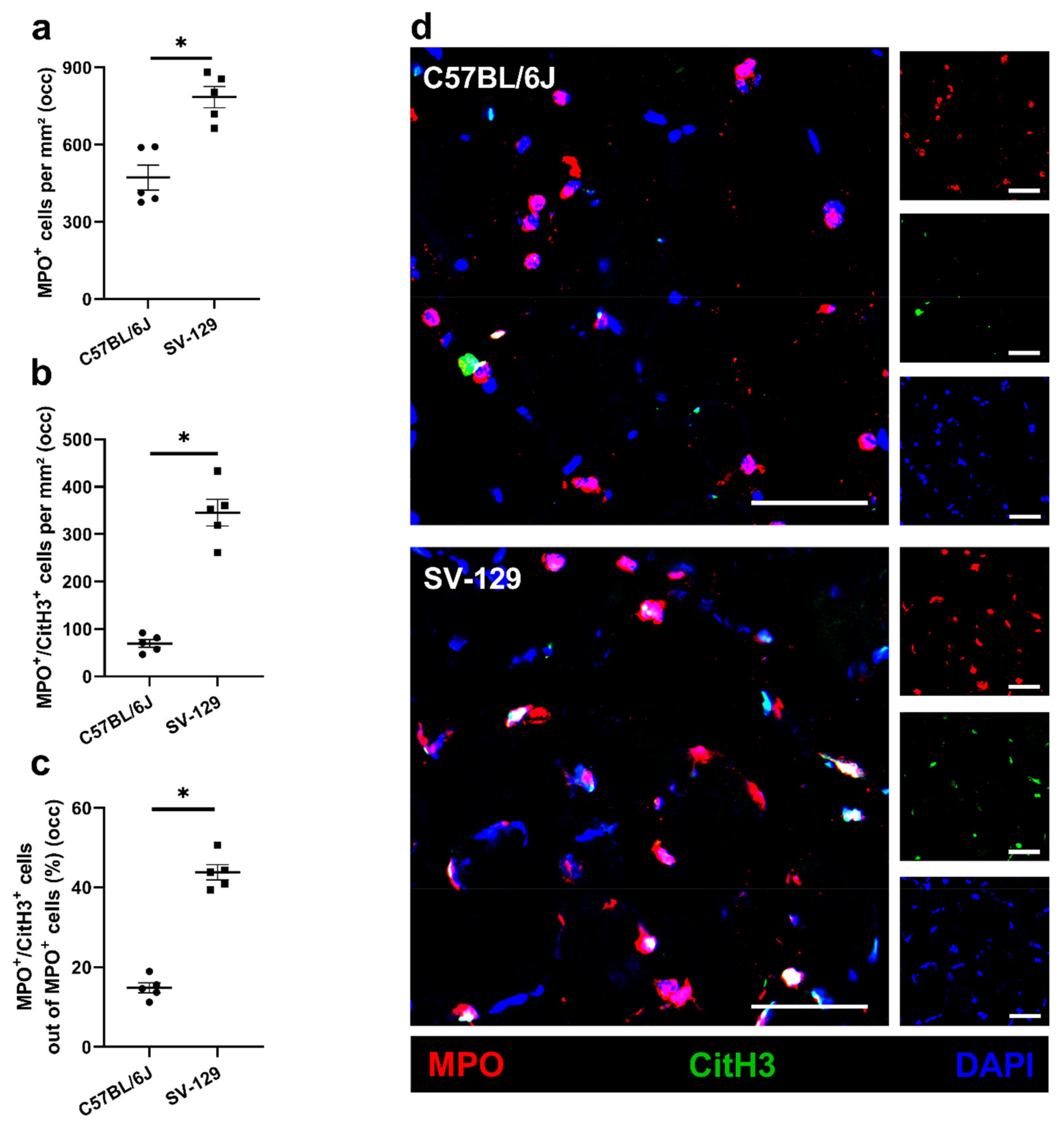 Ijms 22 11795 g004 550