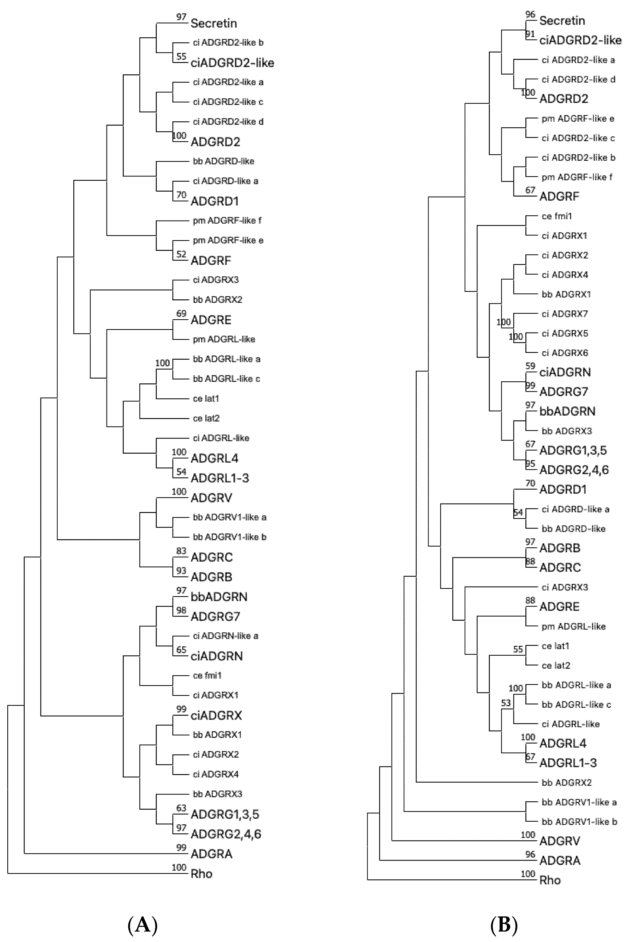 Ijms 22 11803 g005 550