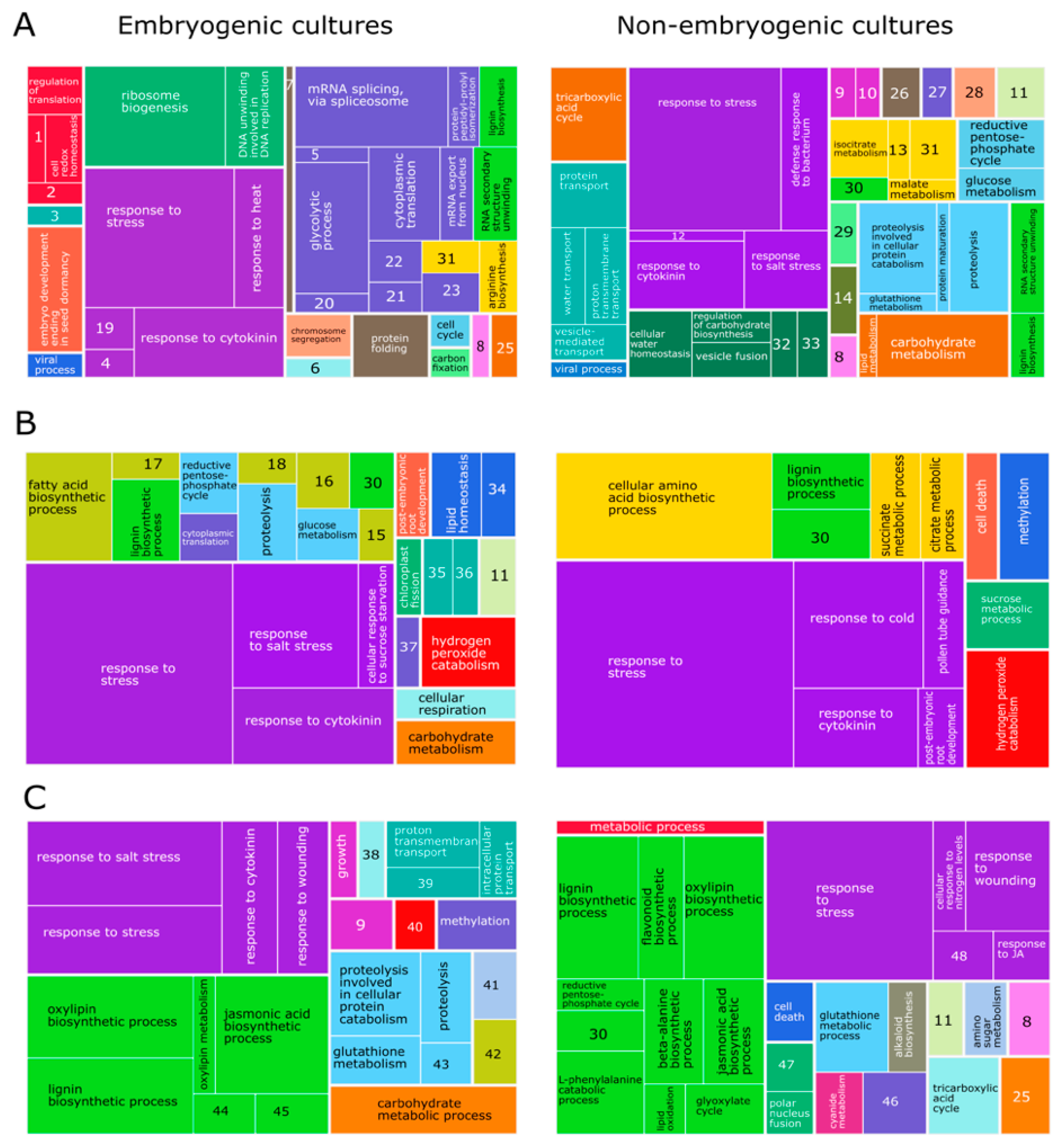 Ijms 22 11807 g002 Ijms 22 11807 g002