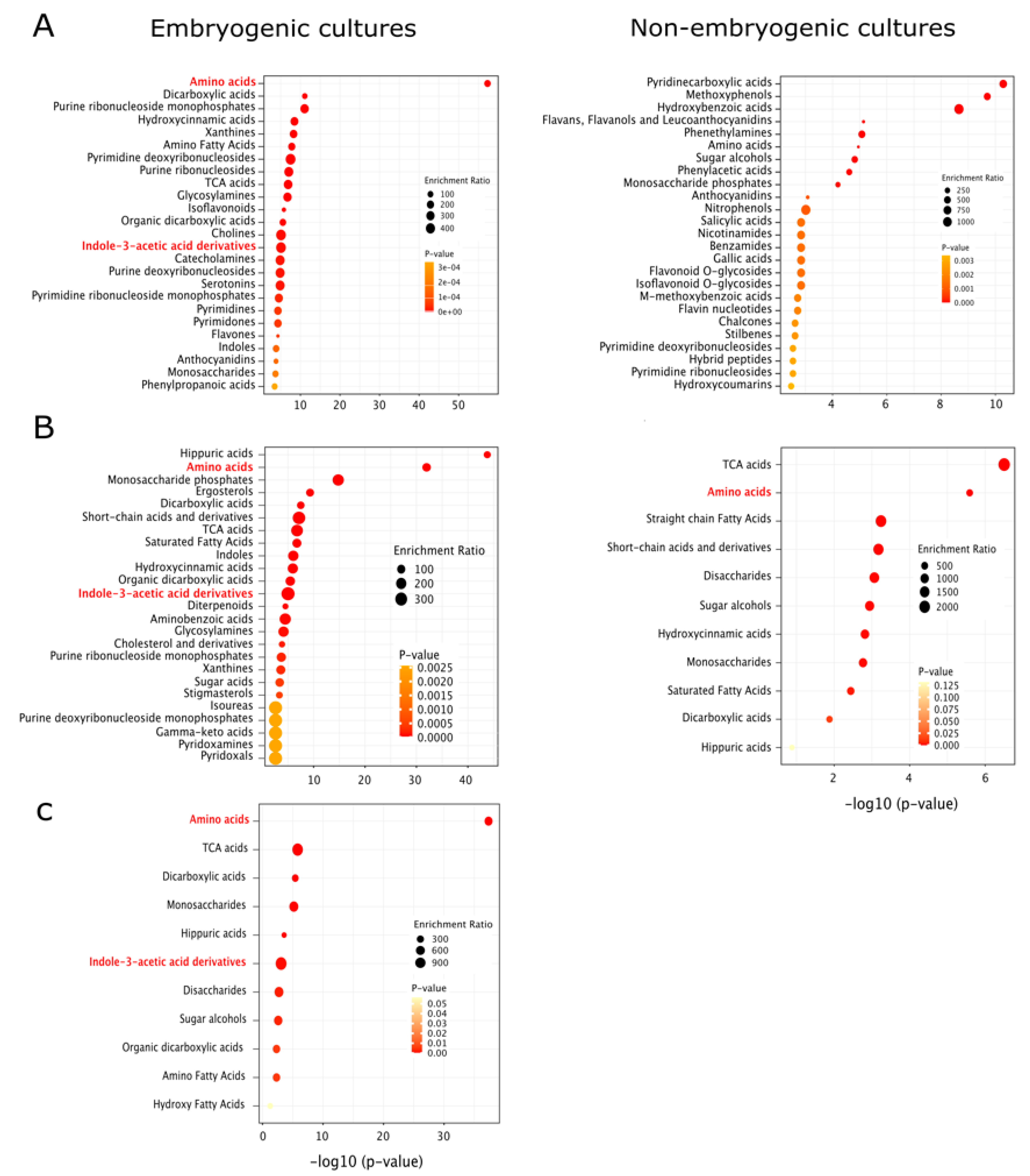 Ijms 22 11807 g003 Ijms 22 11807 g003