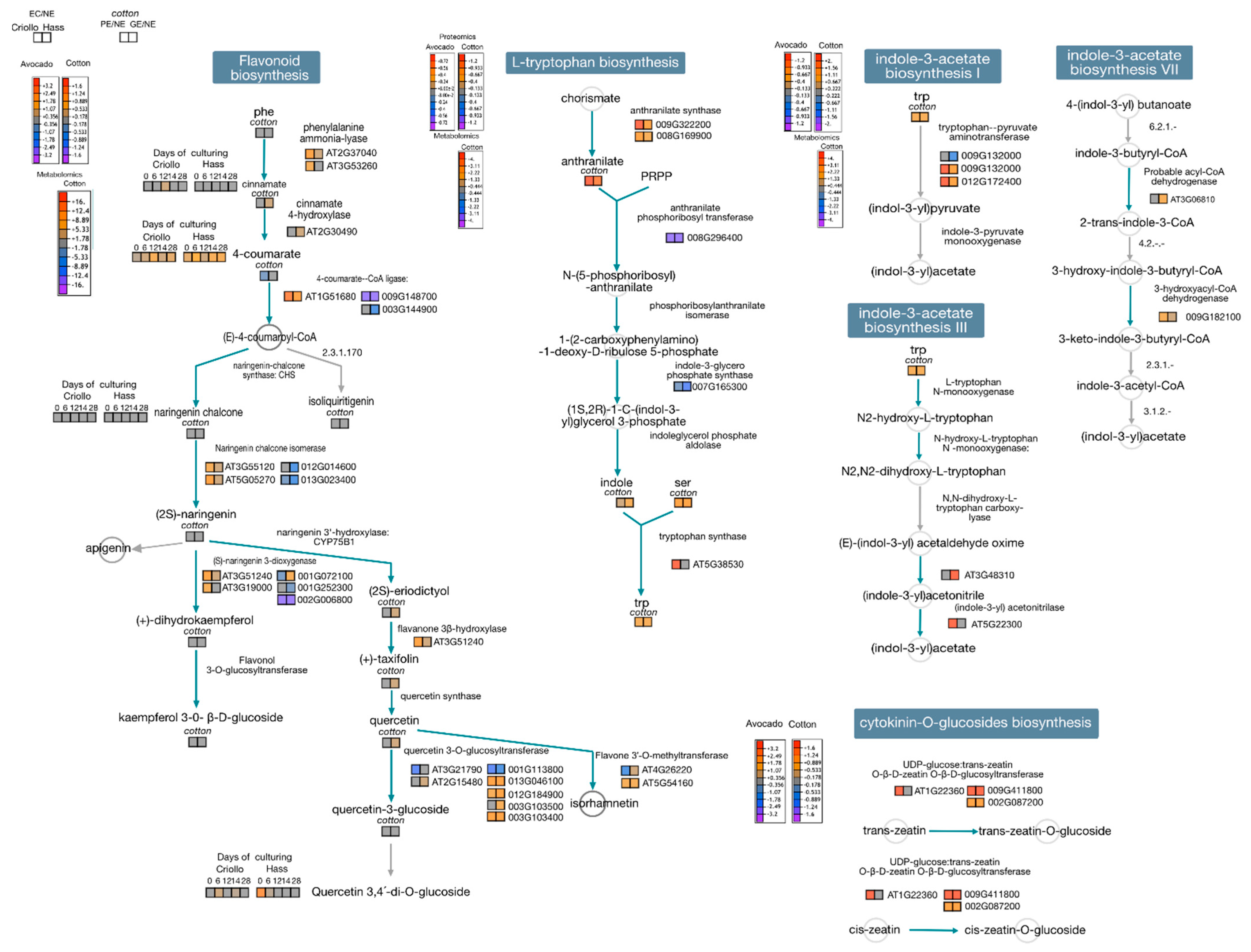 Ijms 22 11807 g004 Ijms 22 11807 g004