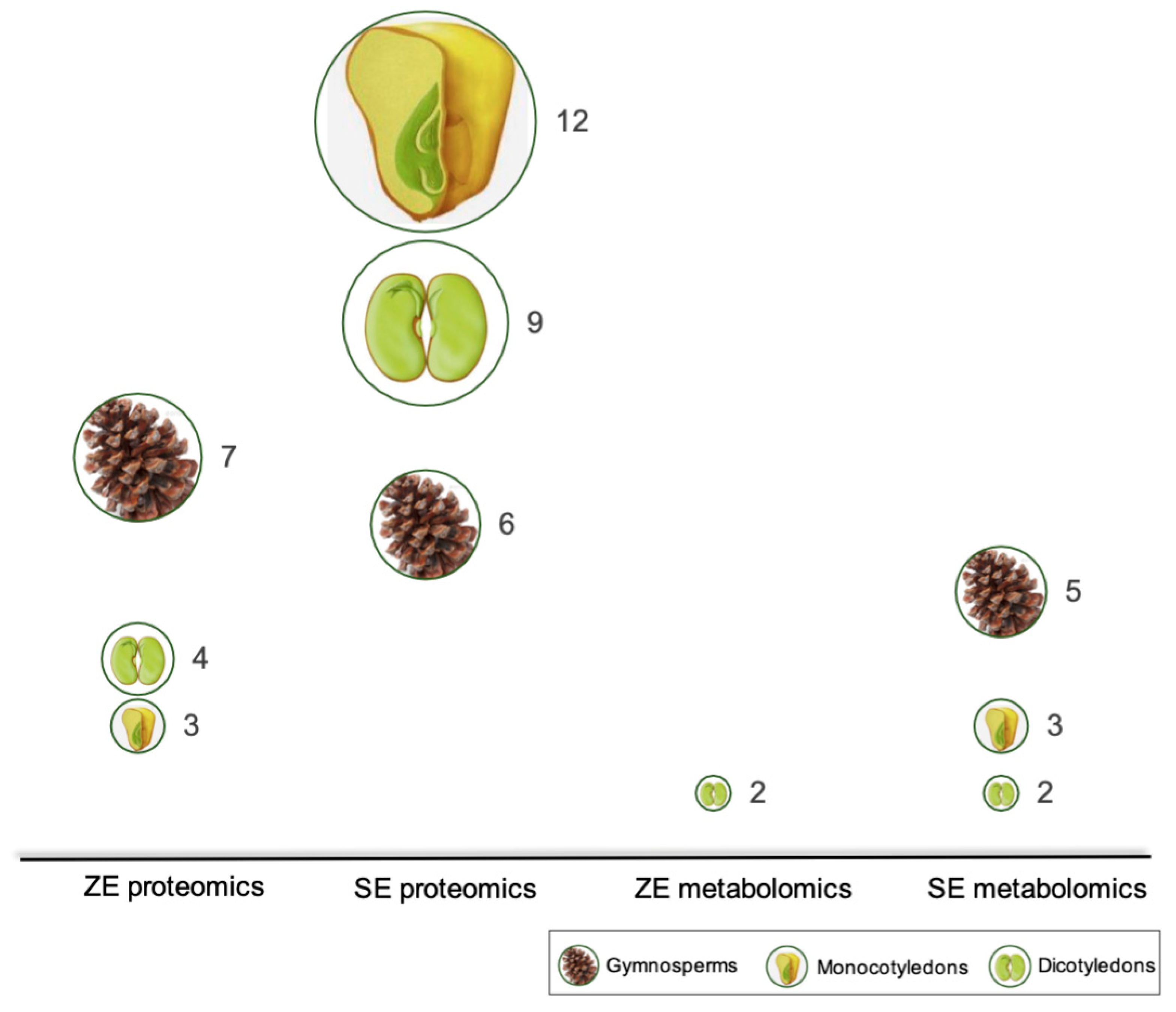 Ijms 22 11807 g006 Ijms 22 11807 g006