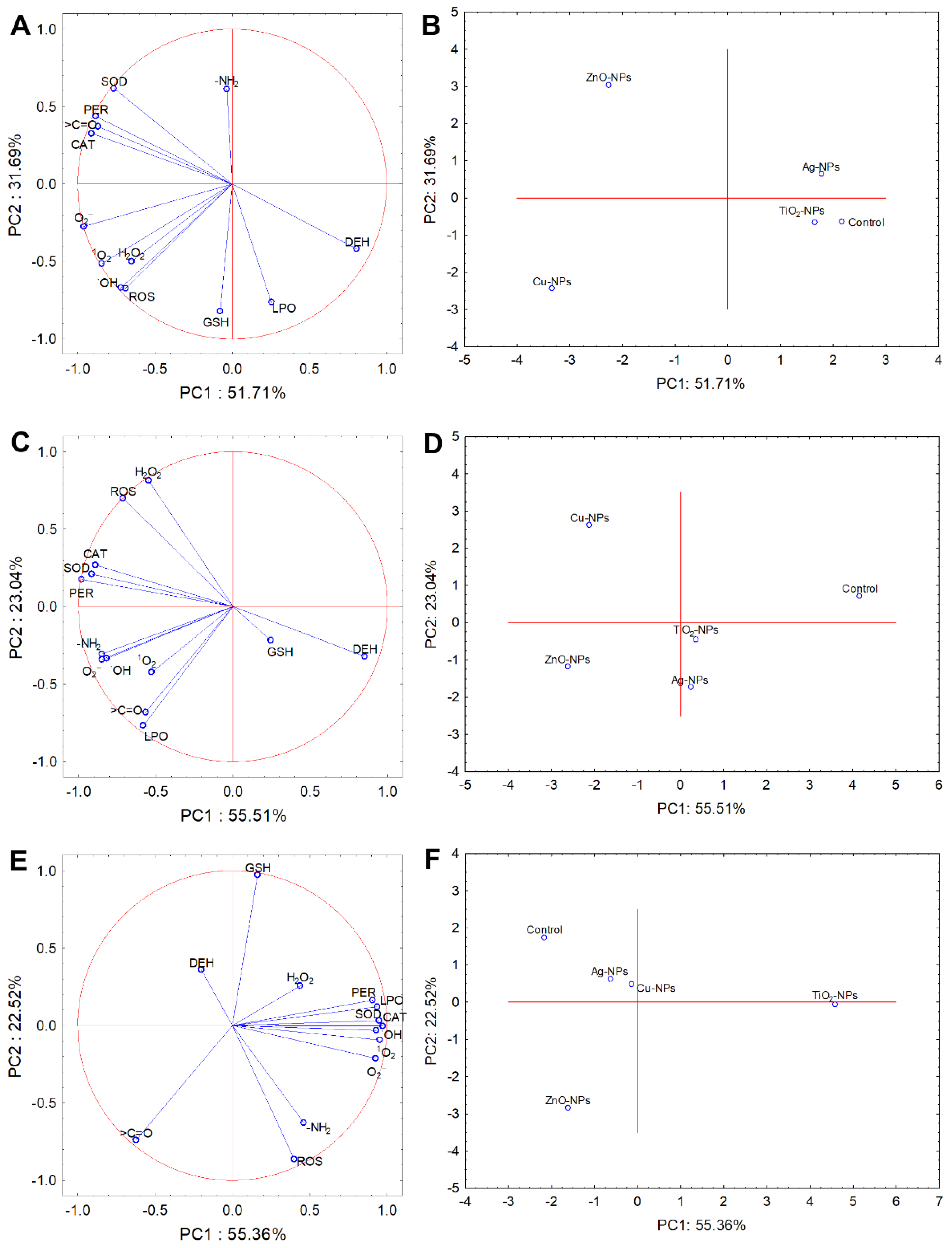 Ijms 22 11811 g006 550