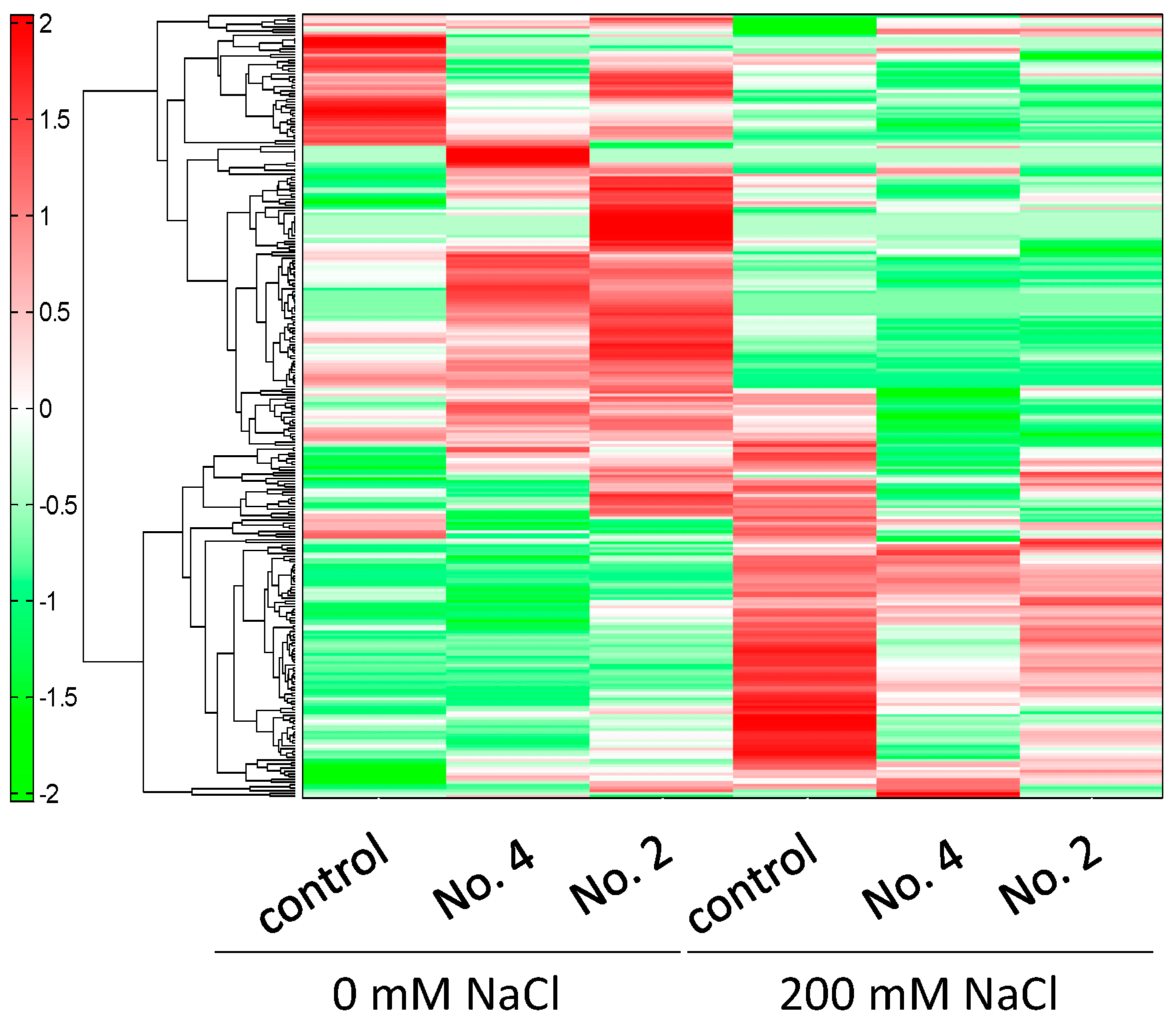 Ijms 22 11813 g005 550