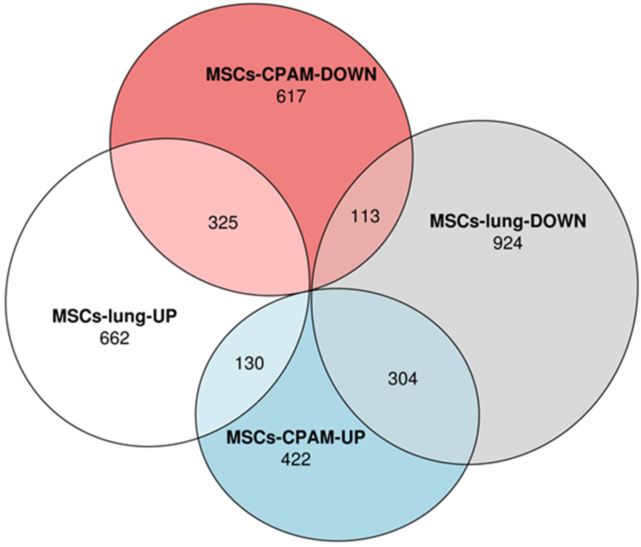 Ijms 22 11814 g001 550