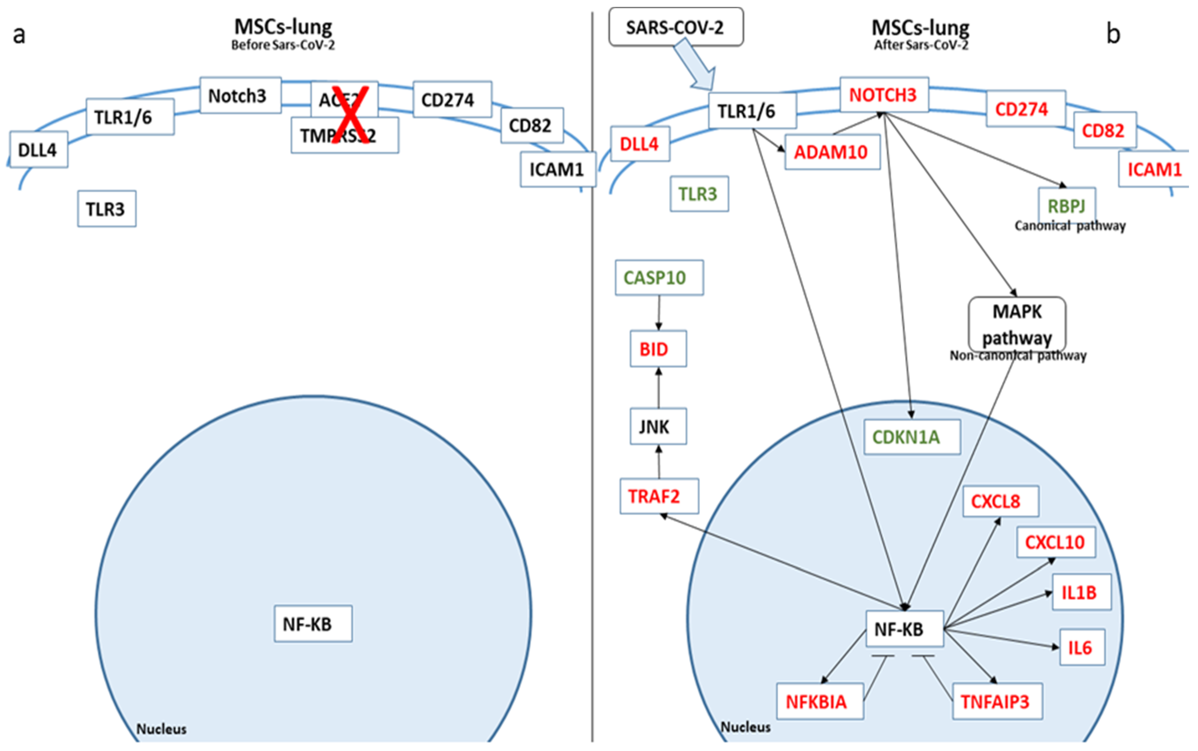 Ijms 22 11814 g003 550