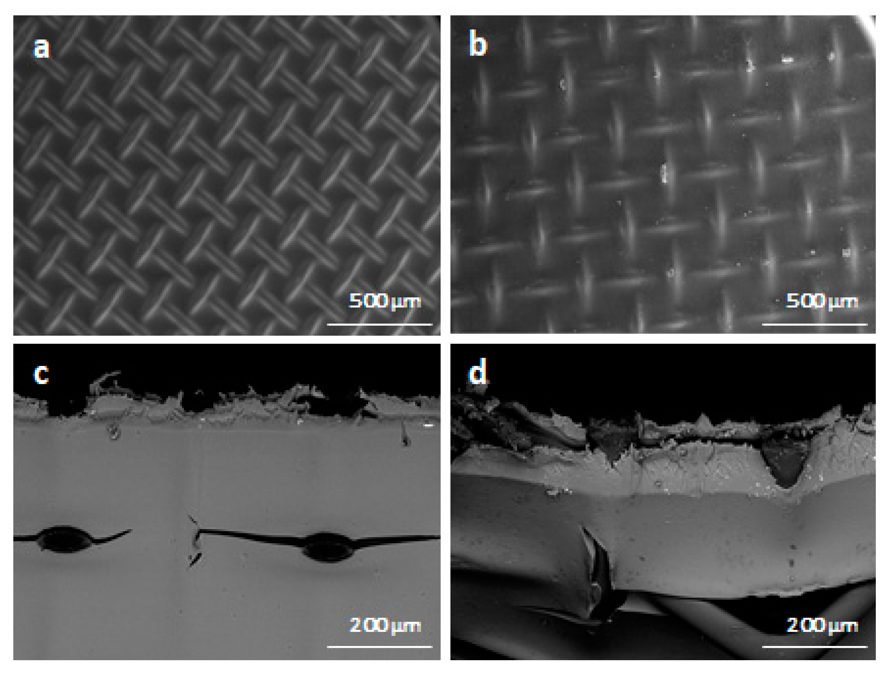 Ijms 22 11819 g004 550