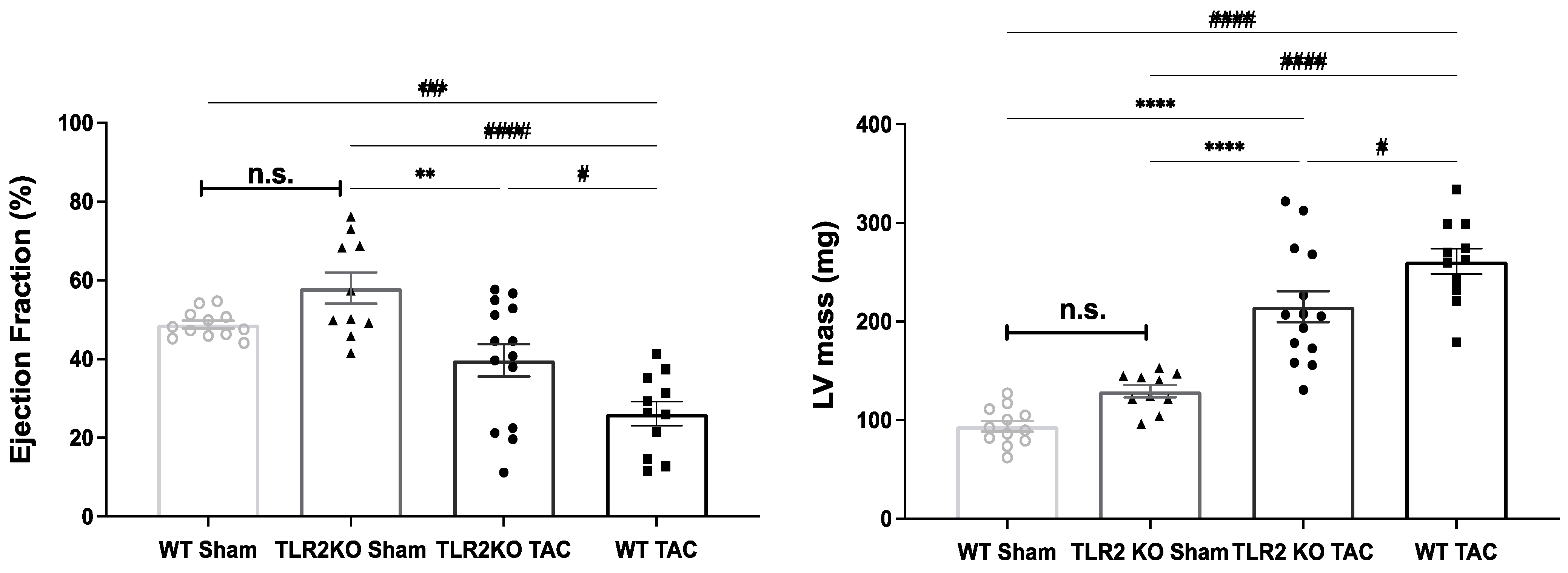 Ijms 22 11823 g001 Ijms 22 11823 g001