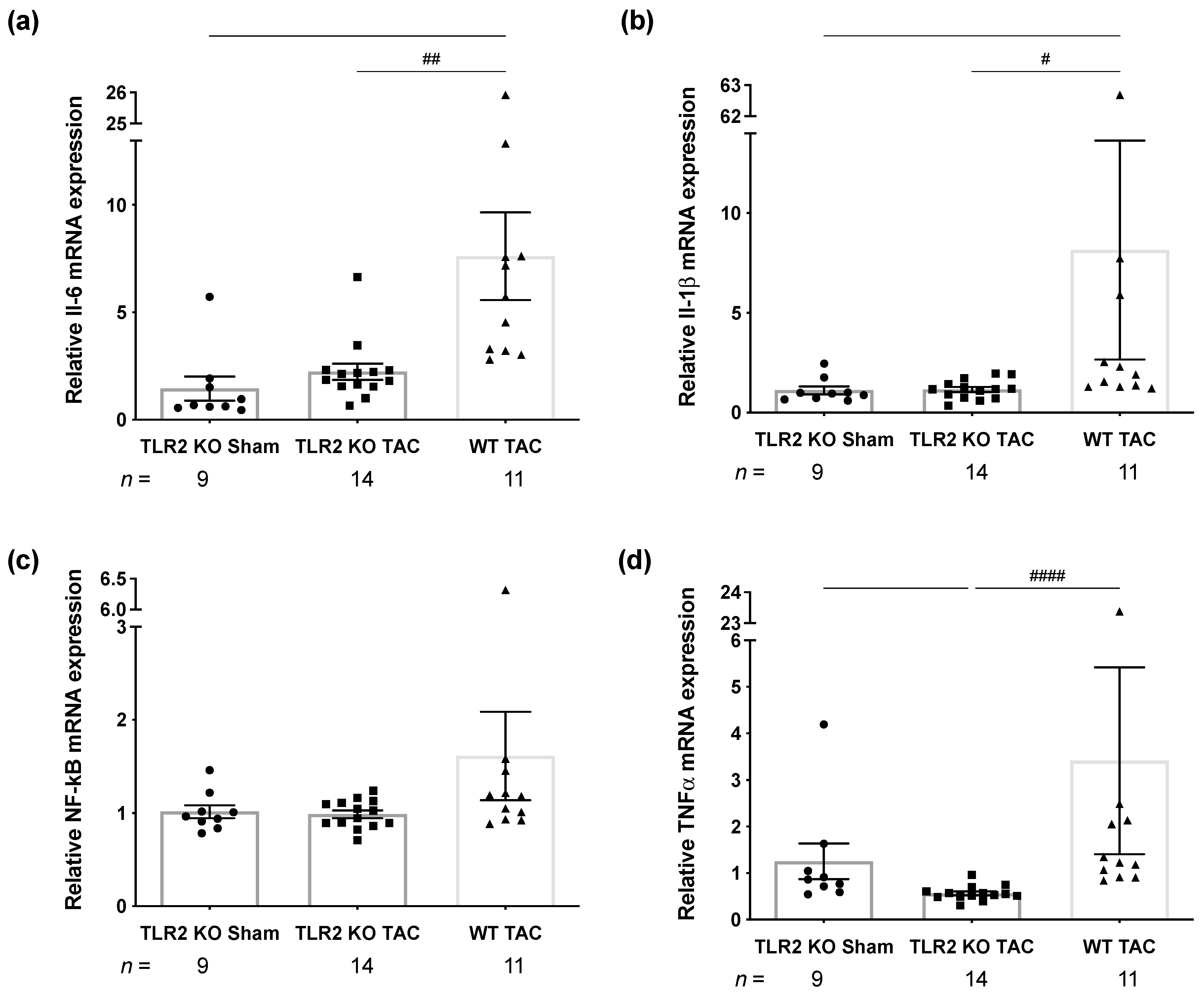 Ijms 22 11823 g002 Ijms 22 11823 g002
